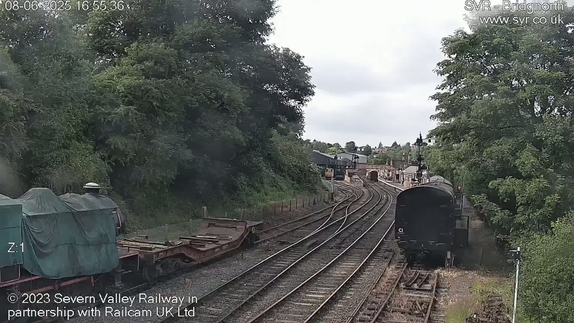 A dark-colored train is visible on a railway track surrounded by lush green trees under an overcast sky.