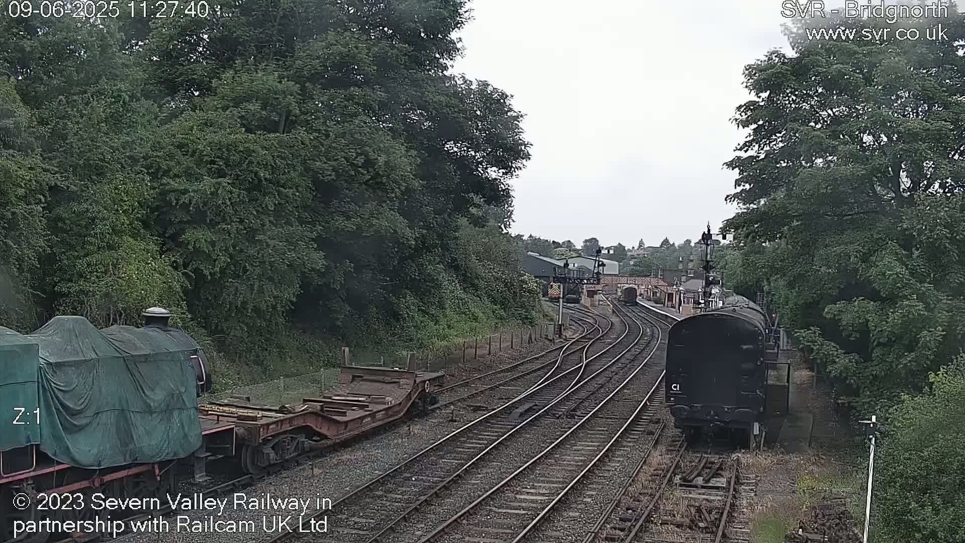 Two locomotives and several rail cars are visible on a railway track surrounded by lush green trees under an overcast sky.