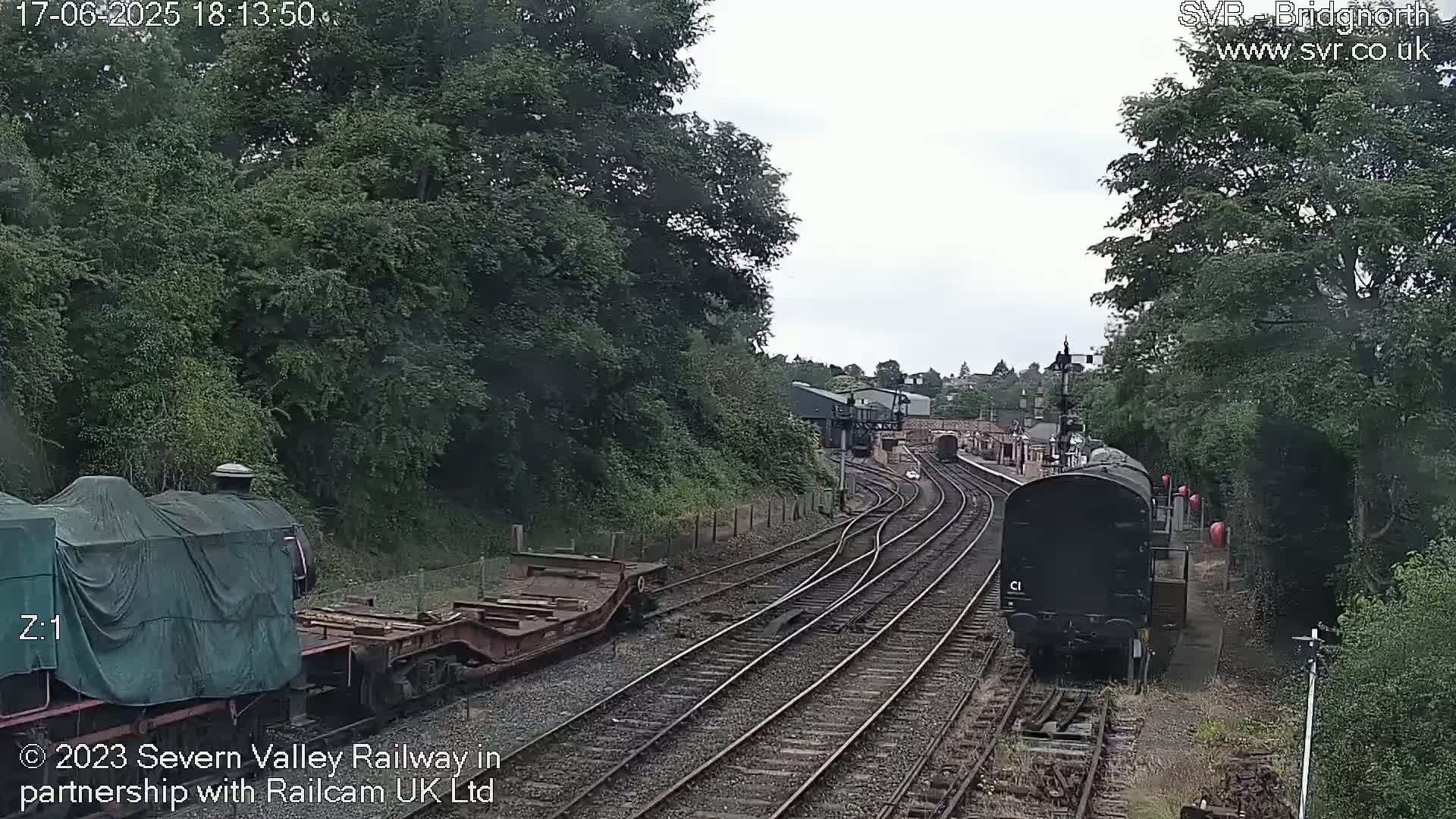 A view of railway tracks, with two trains and a flatcar visible, partially obscured by trees under an overcast sky.