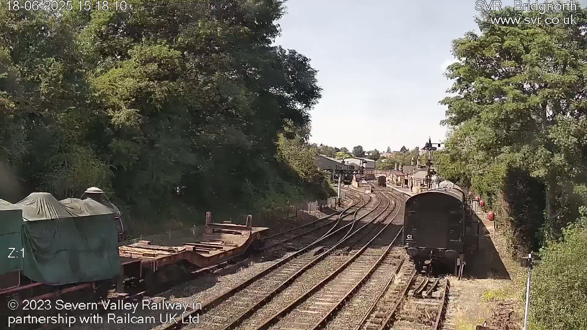 A dark-colored train is visible on a railway track on a sunny day, passing by a flatcar and a covered railcar, surrounded by lush green trees and foliage.