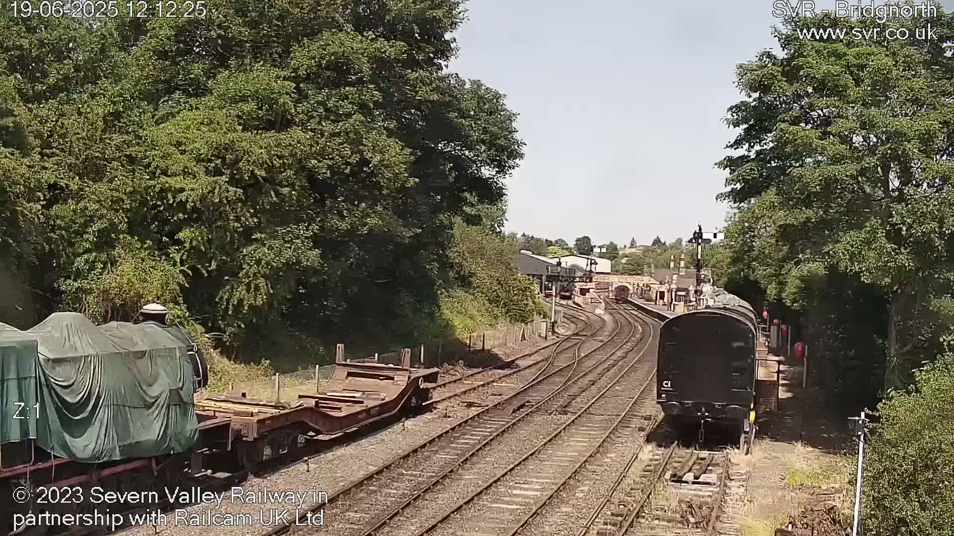 A sunny day at a railway station shows multiple train cars on several tracks, with some covered and others uncovered, surrounded by lush green trees.