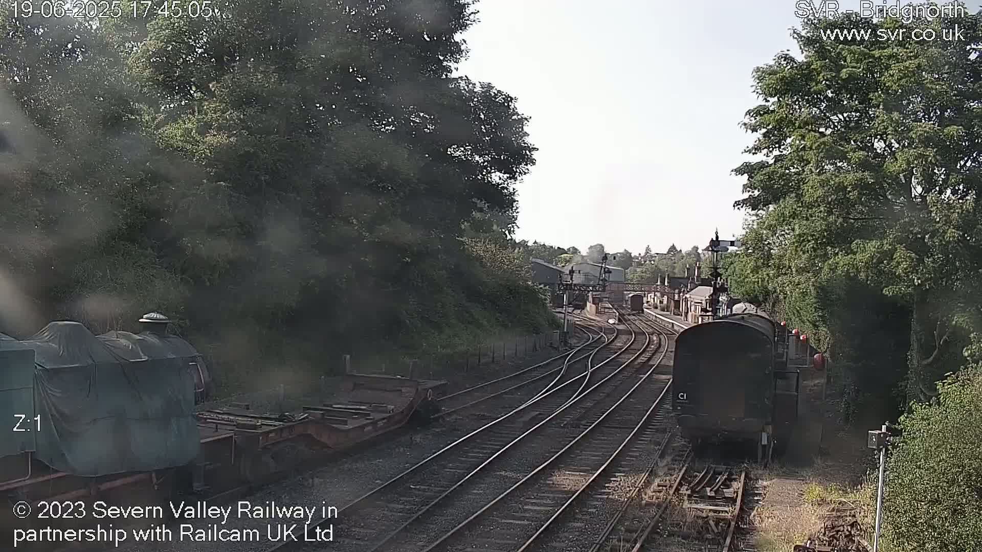 A dark-colored train car is on a railway track surrounded by trees and other rail cars under a bright, sunny sky.