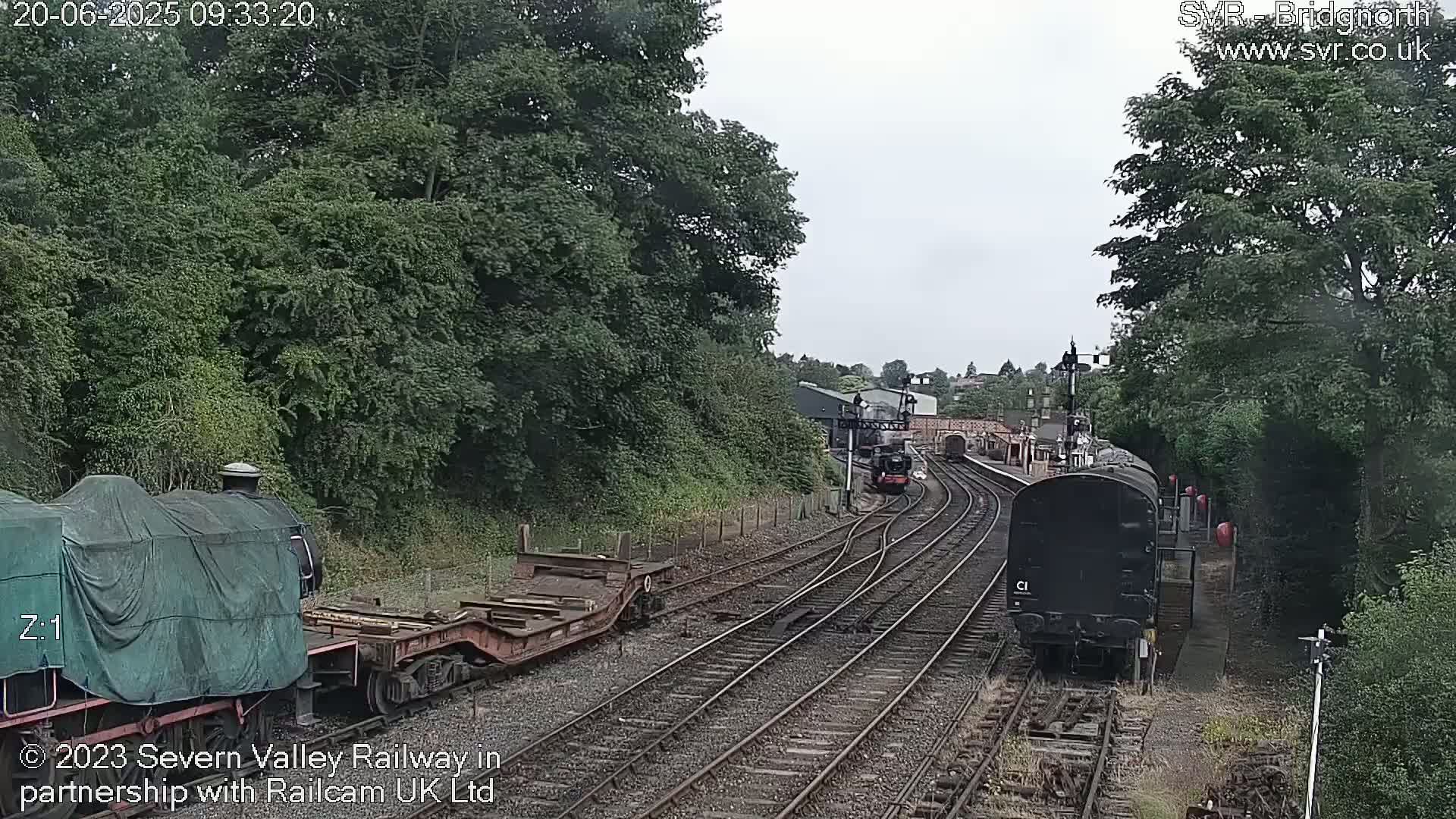 A railway scene on an overcast day shows several train cars on multiple tracks, surrounded by lush green trees and foliage.