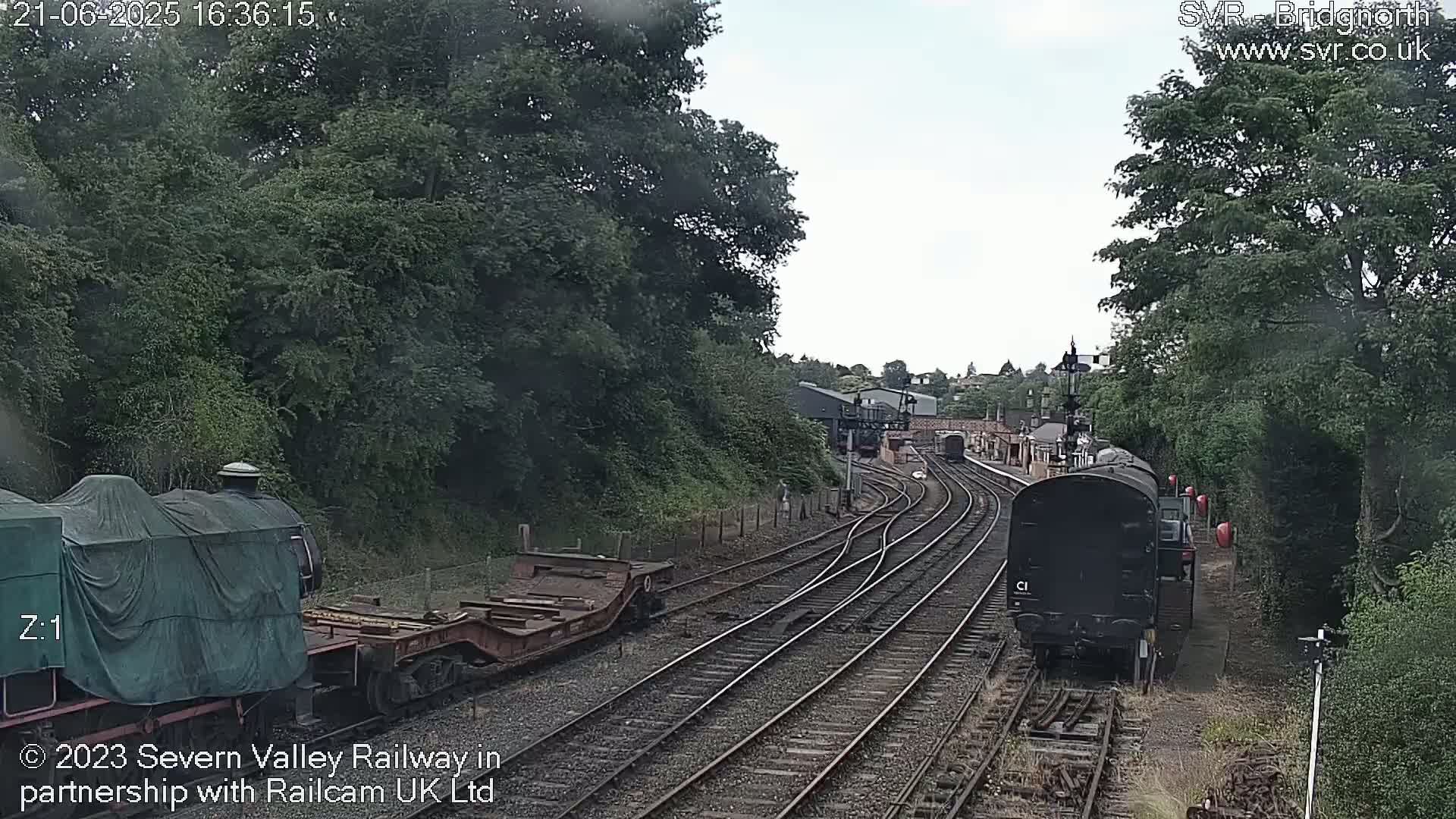 A train and railway cars sit on a track that curves through a wooded area on an overcast day.