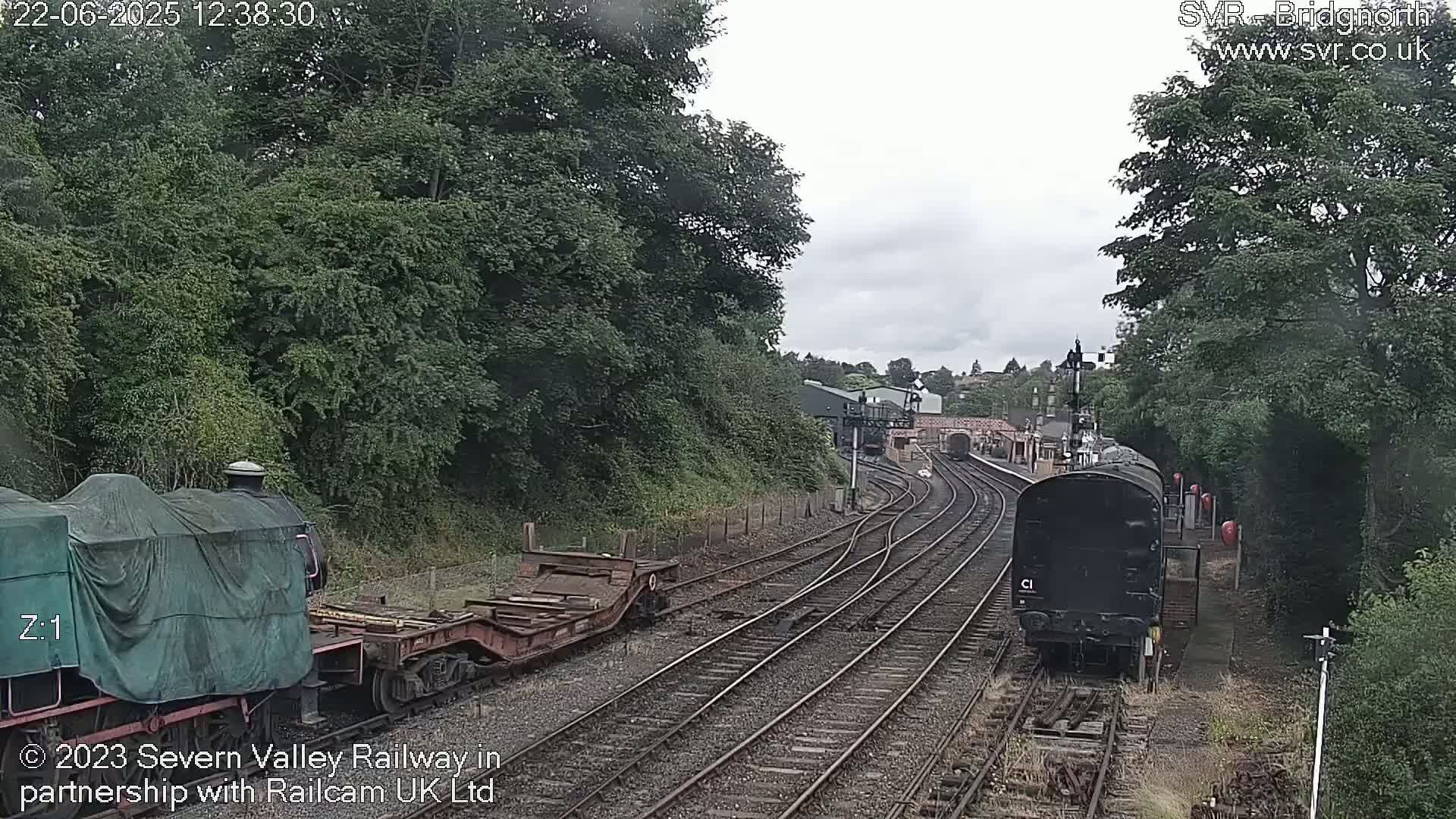 Two trains are on a railway track surrounded by lush green trees under an overcast sky.