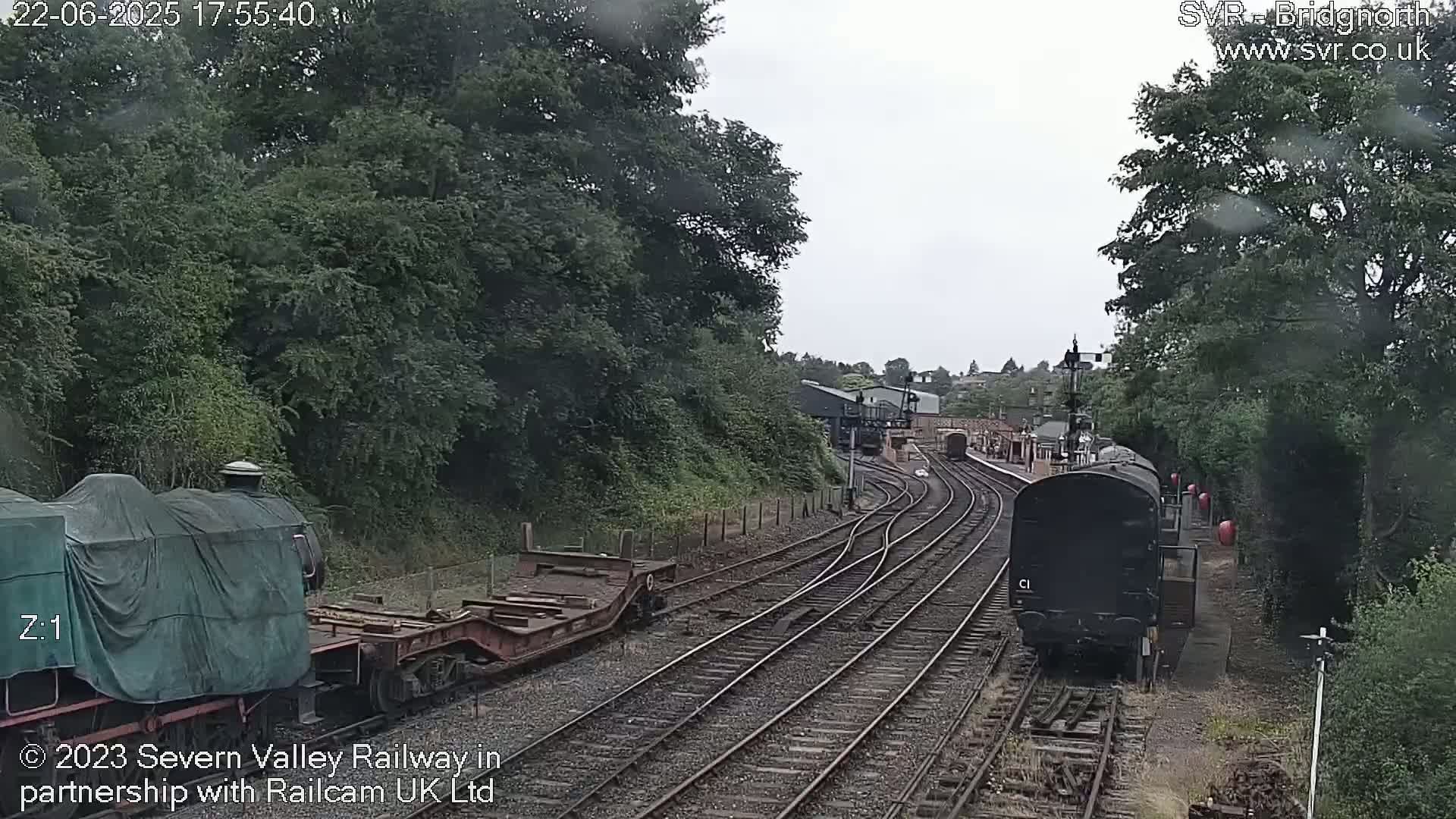 Two trains, one covered and one uncovered, are visible on a railway track surrounded by lush green trees under an overcast sky.