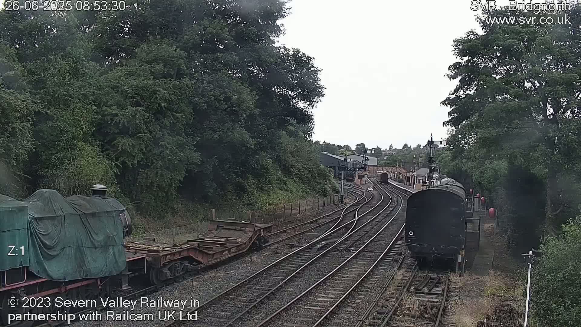 Two locomotives and several railway cars are visible on a railway track surrounded by lush green trees under an overcast sky.