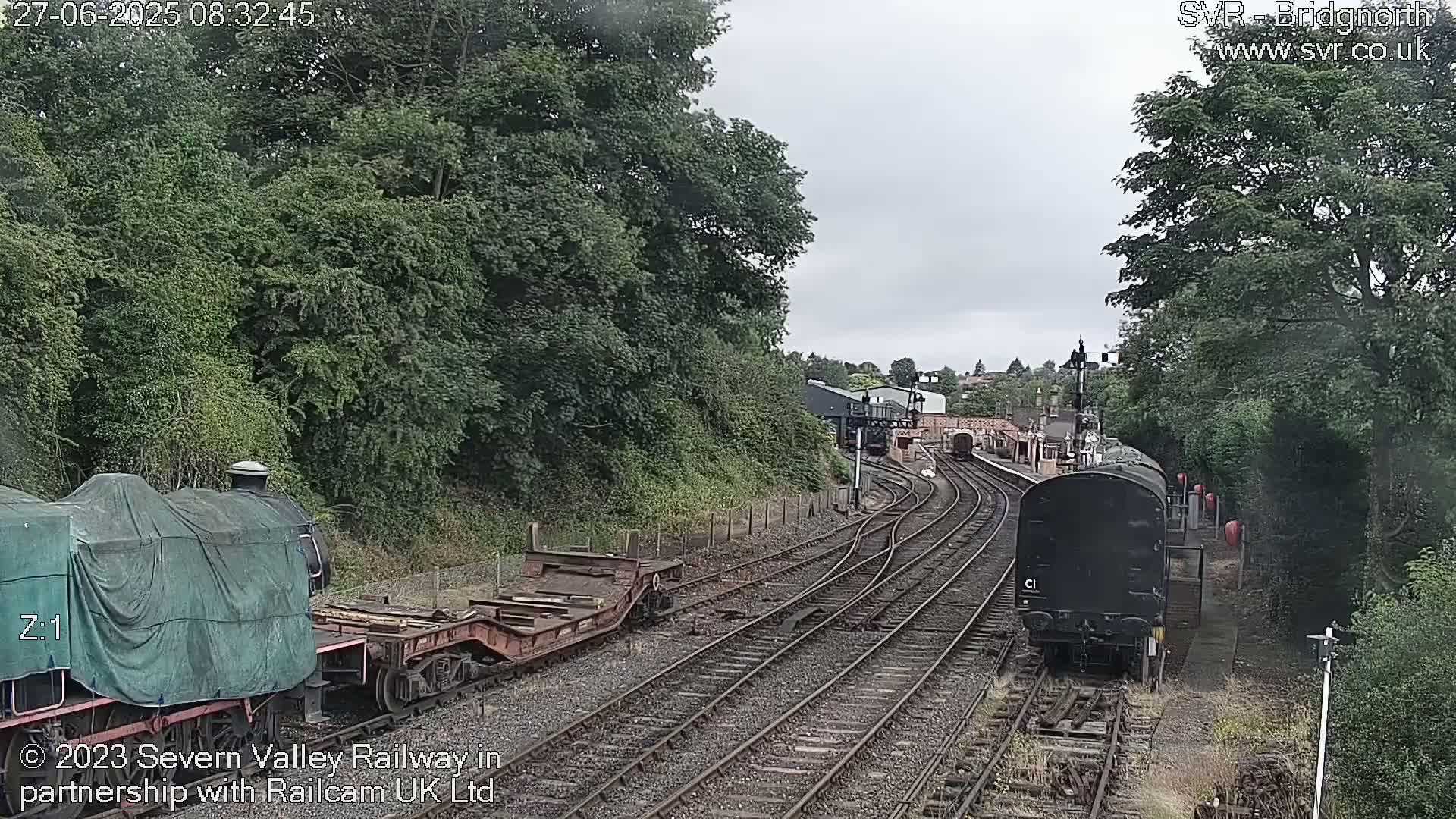 Two trains, one covered and one uncovered, are visible on a railway track surrounded by lush green trees under an overcast sky.