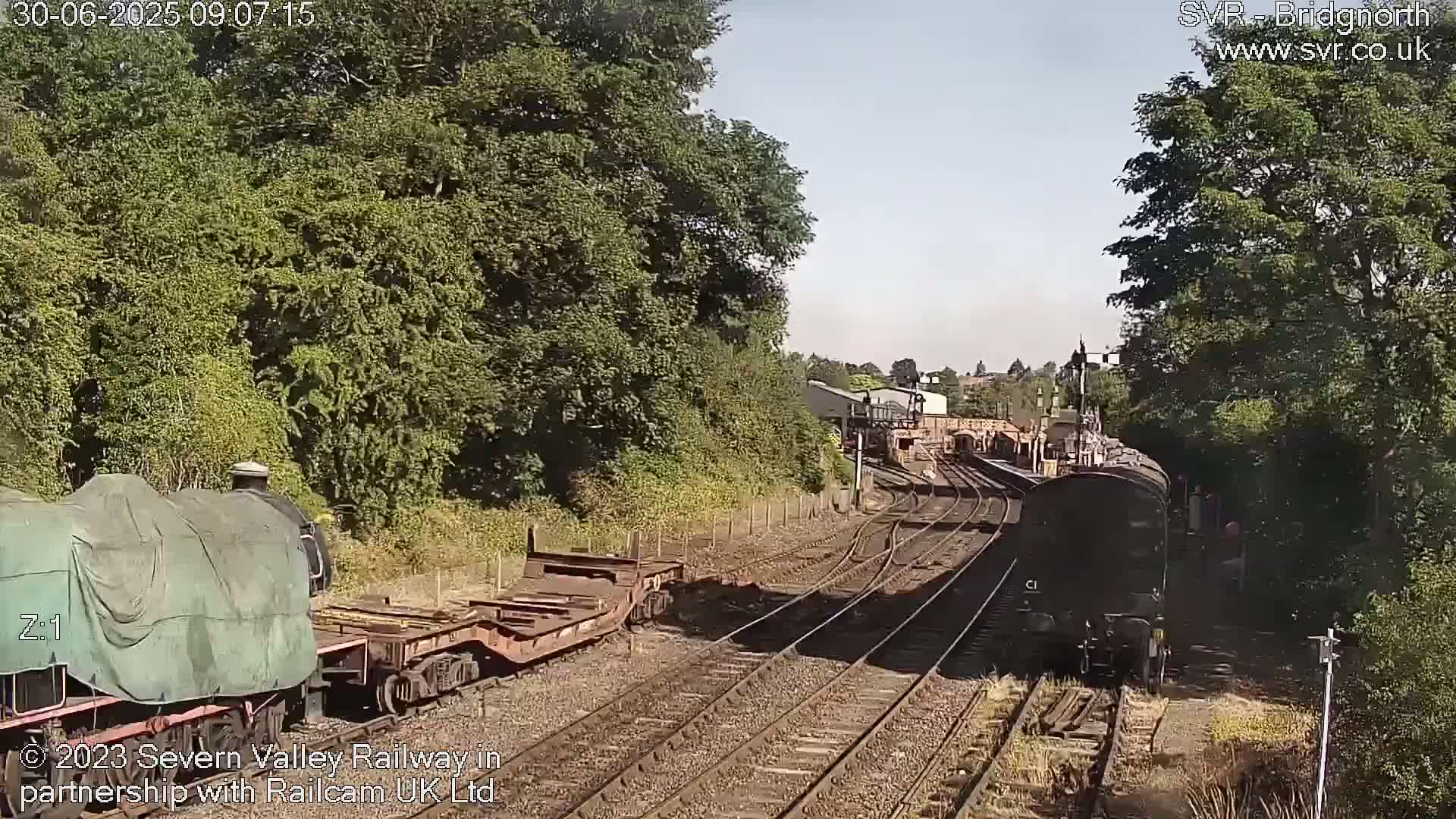On a sunny day, two trains are visible on a railway track surrounded by lush green trees and vegetation.