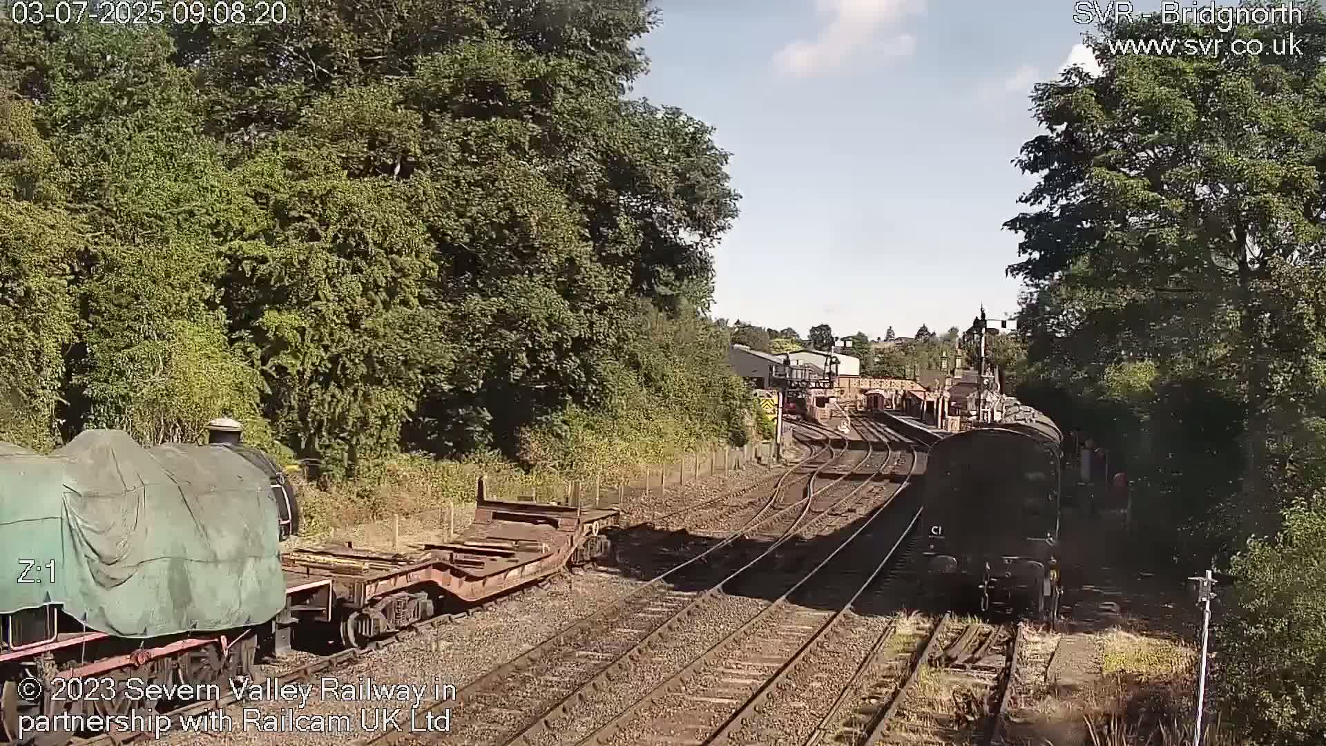 A sunny day at a train station shows two trains on multiple tracks surrounded by lush green trees.