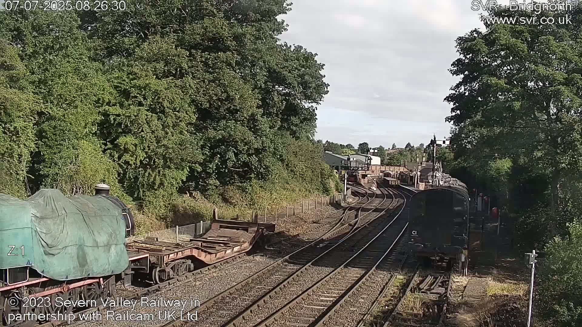 Two trains, one covered and one uncovered, sit on multiple train tracks surrounded by lush green trees under a partly cloudy sky.