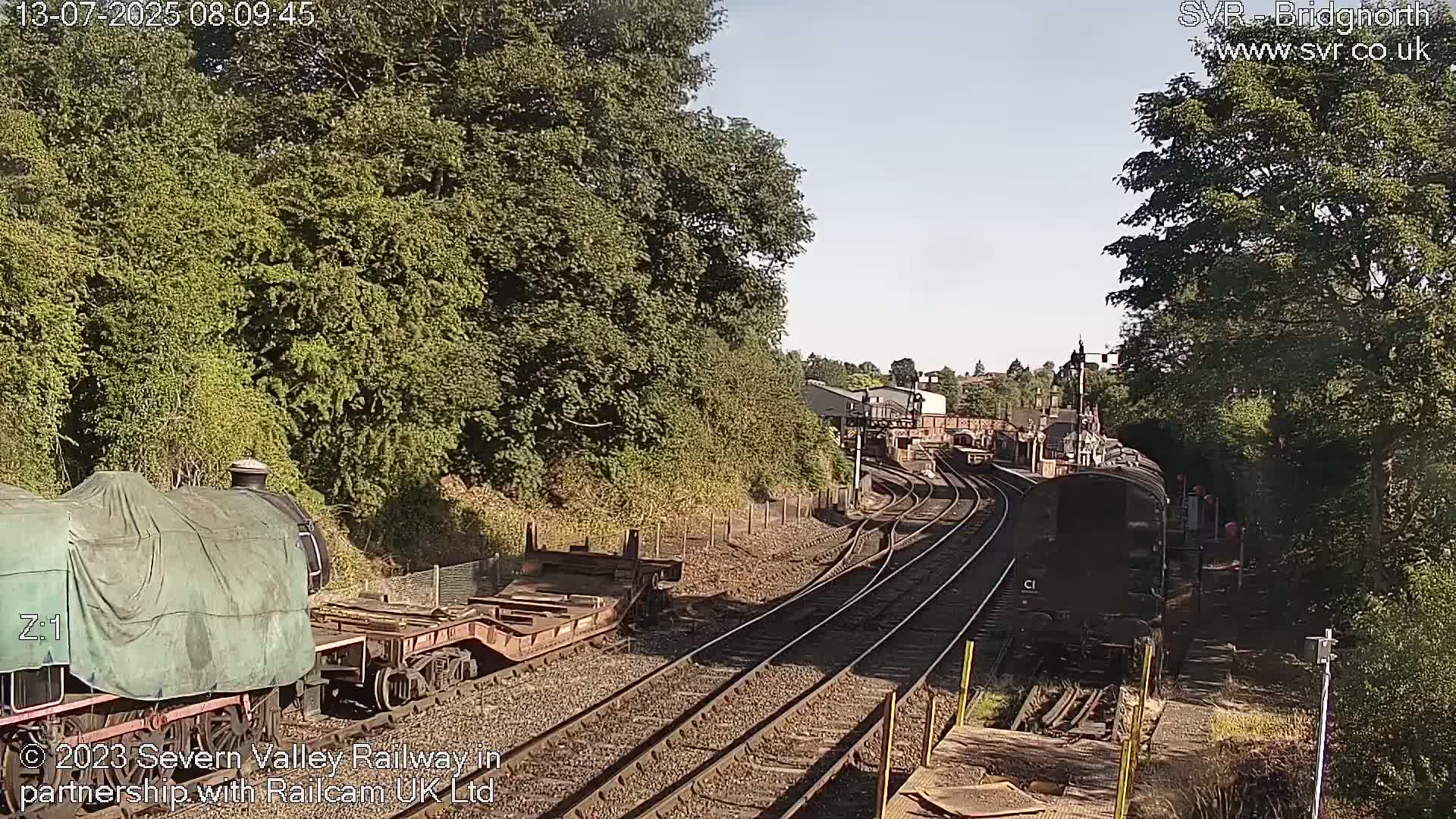 A sunny day shows a railway scene with multiple train cars and locomotives on several tracks, surrounded by lush green trees.