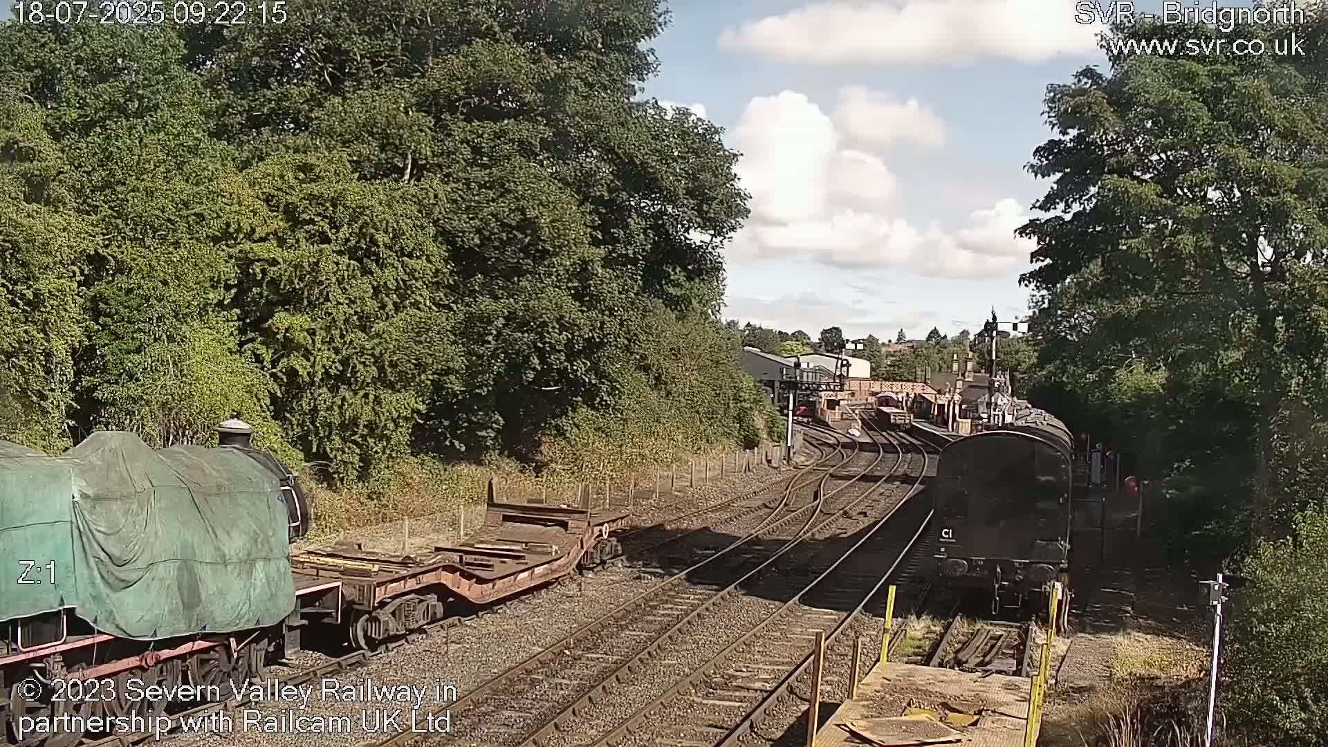 A sunny day shows several train cars and locomotives on railway tracks surrounded by lush green trees.