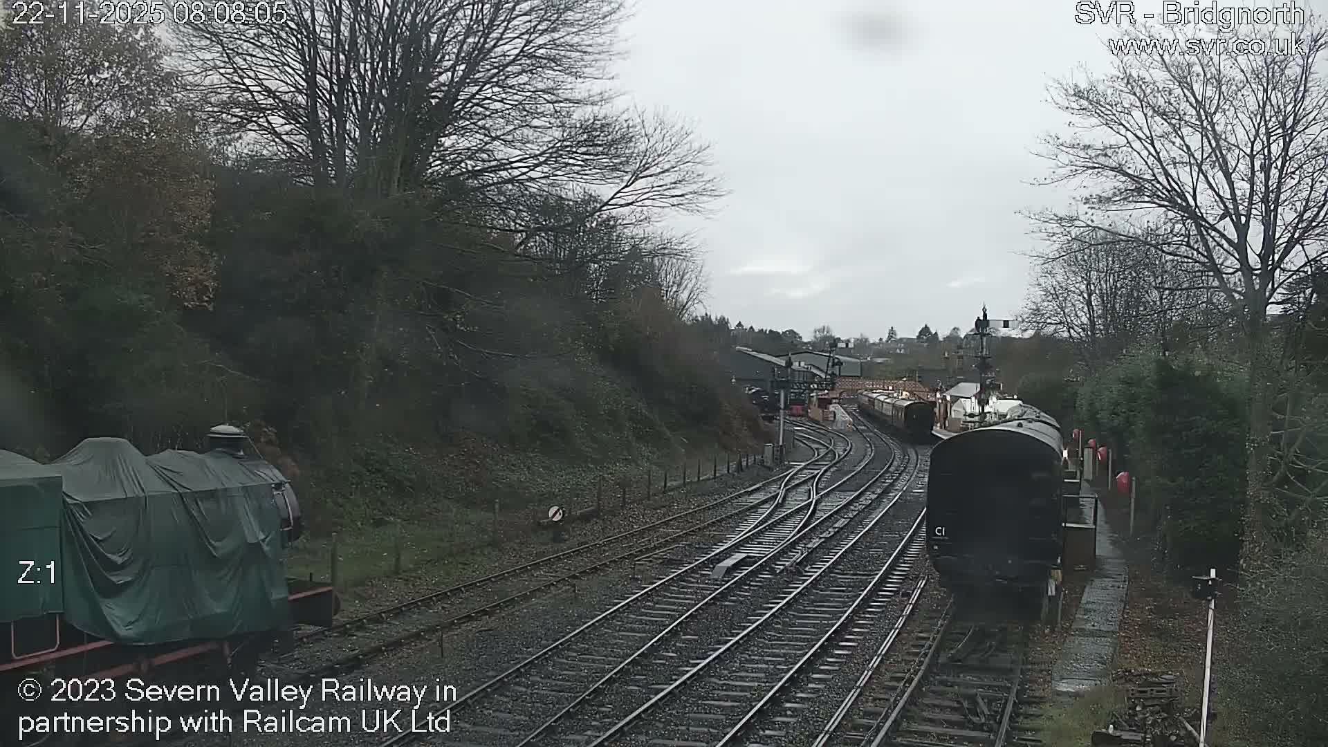 On an overcast day, a wide view captures multiple railway tracks converging towards a station, with several train carriages parked, including a tarp-covered engine in the foreground, all framed by hillsides dense with bare trees.