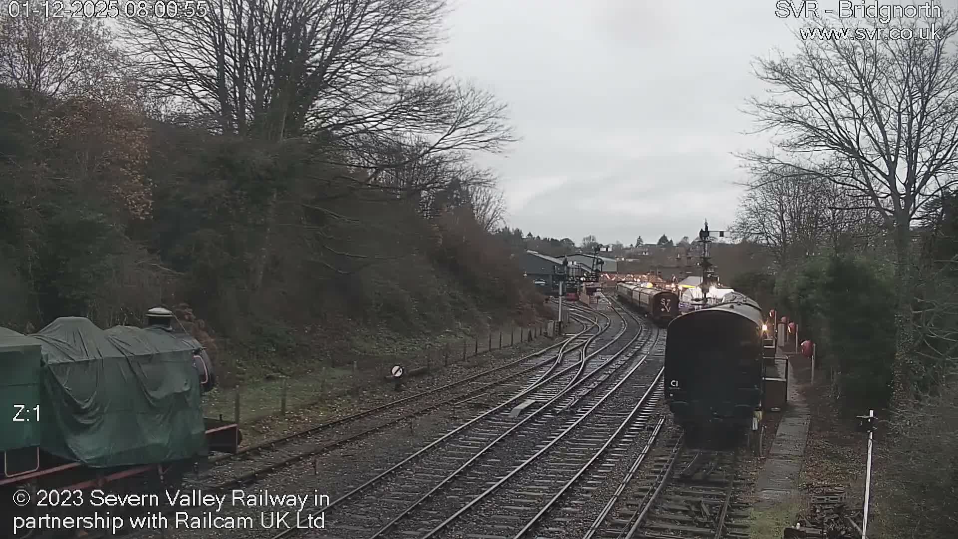 On an overcast day, a railway yard features multiple tracks with trains, including one covered by a green tarp and another with illuminated lights at a platform, set against a backdrop of bare winter trees and distant buildings.