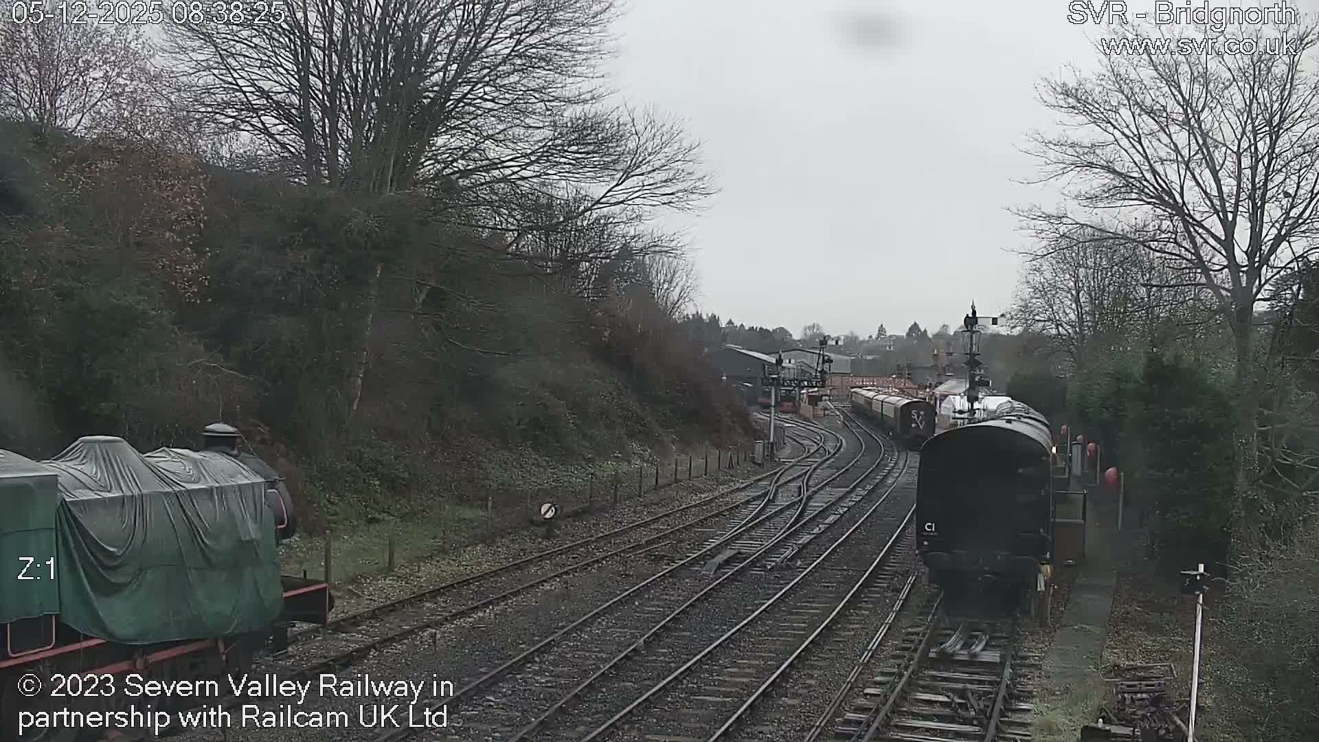 Under a dull, overcast sky, a railway yard is depicted with multiple tracks, a tarp-covered locomotive, other train cars, and bare deciduous trees lining the hilly terrain.