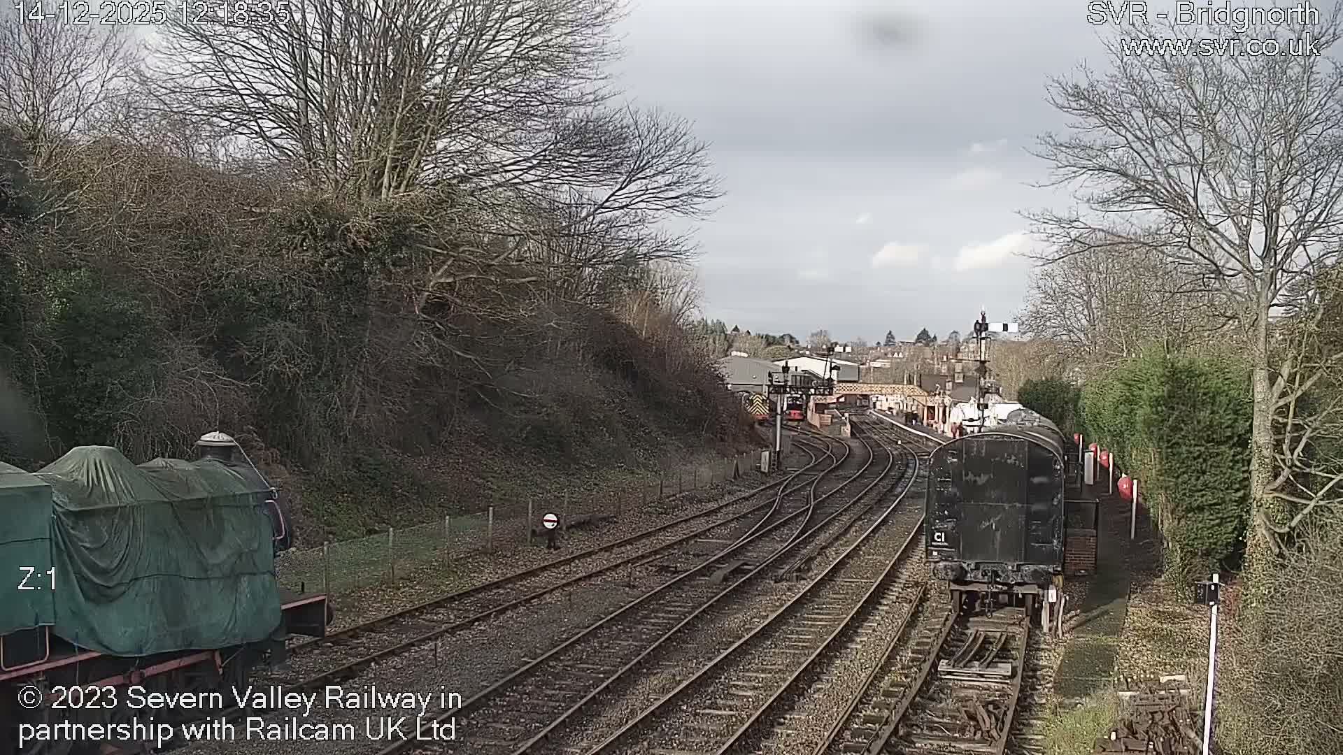 Under a dull, overcast sky, a railway yard is depicted with multiple tracks, a tarp-covered locomotive, other train cars, and bare deciduous trees lining the hilly terrain.