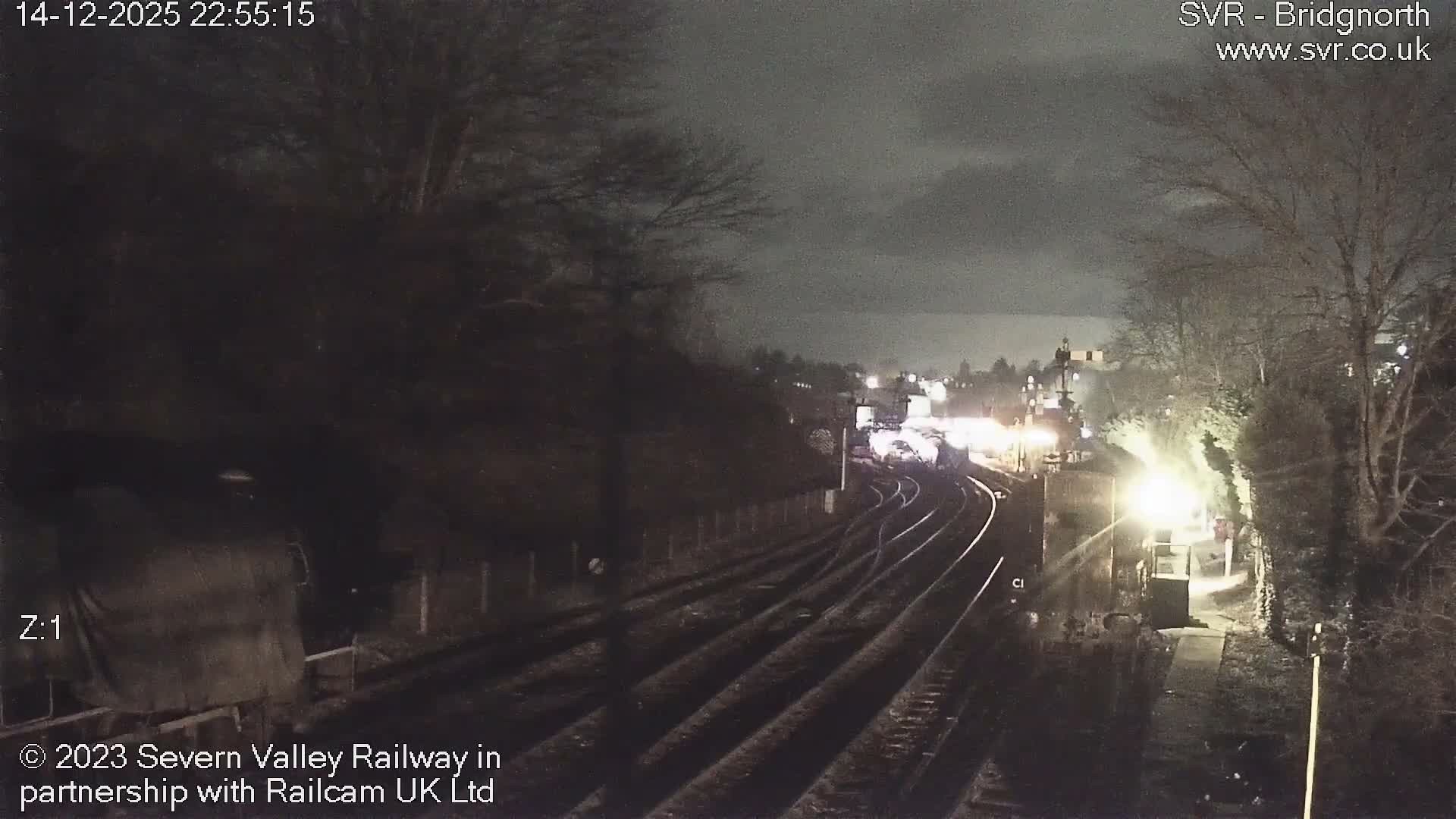 Under a dull, overcast sky, a railway yard is depicted with multiple tracks, a tarp-covered locomotive, other train cars, and bare deciduous trees lining the hilly terrain.