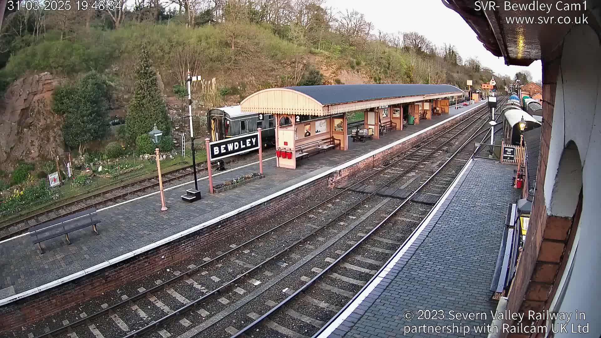 A train is at a station platform under a covered shelter, next to a hillside with trees and vegetation, in what appears to be overcast lighting conditions.