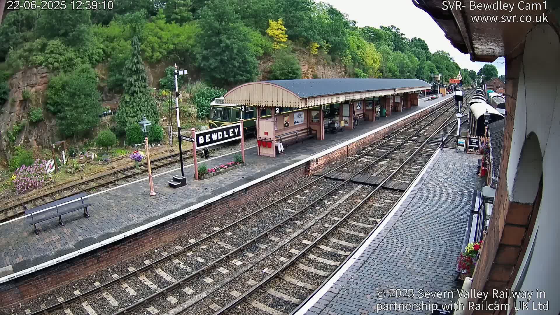 A train sits at a station platform next to a covered waiting area, with a slightly overcast sky visible beyond a hillside of green trees.