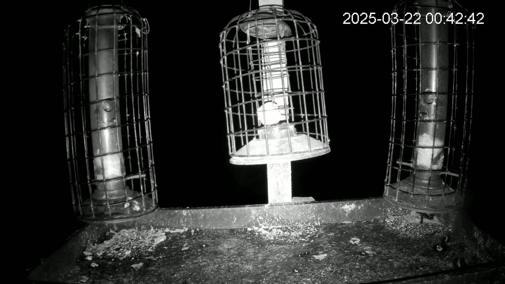 Three caged bird feeders are mounted on a dark platform at night.