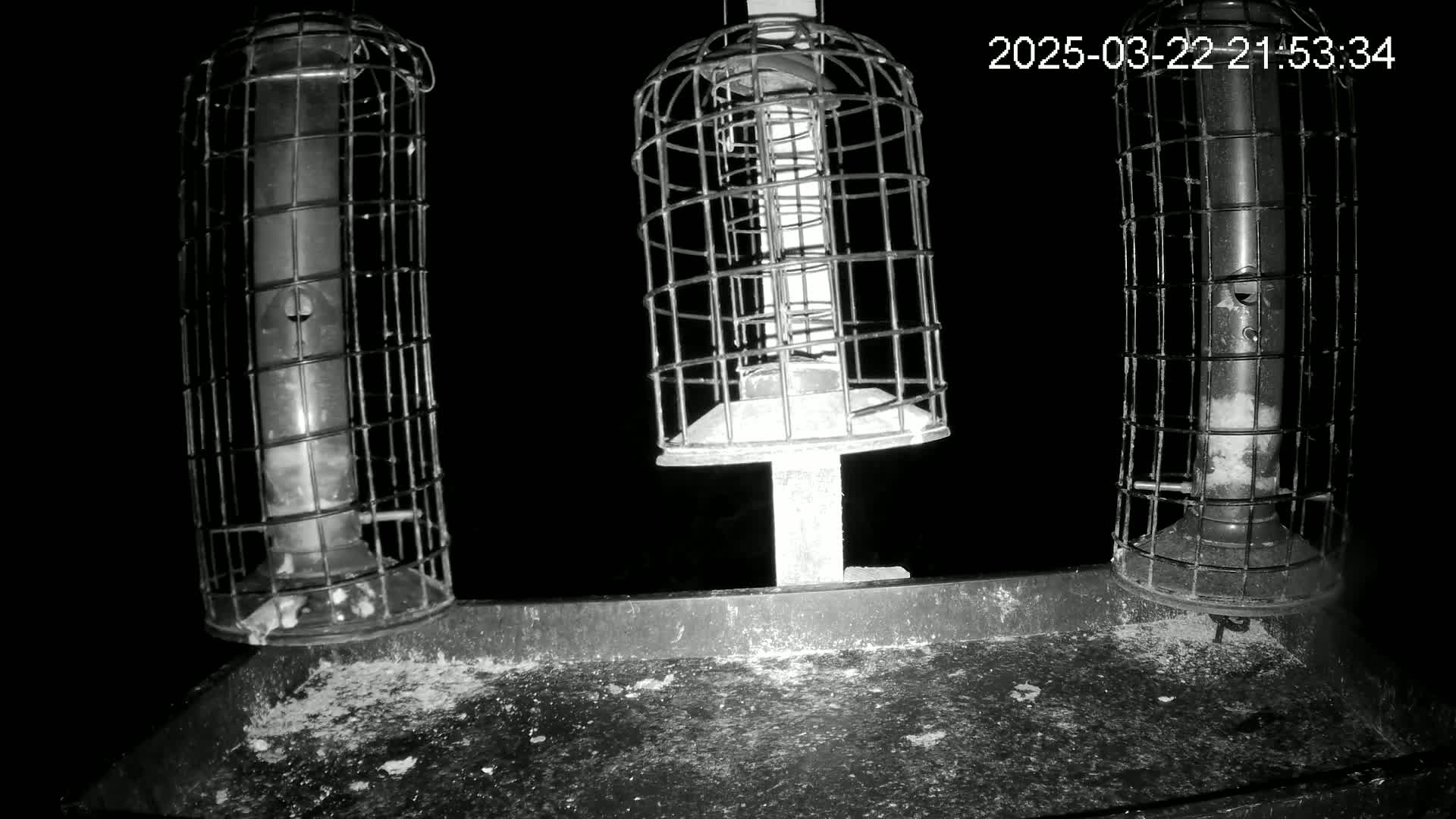 Three caged bird feeders sit on a tray at night, surrounded by scattered seed.