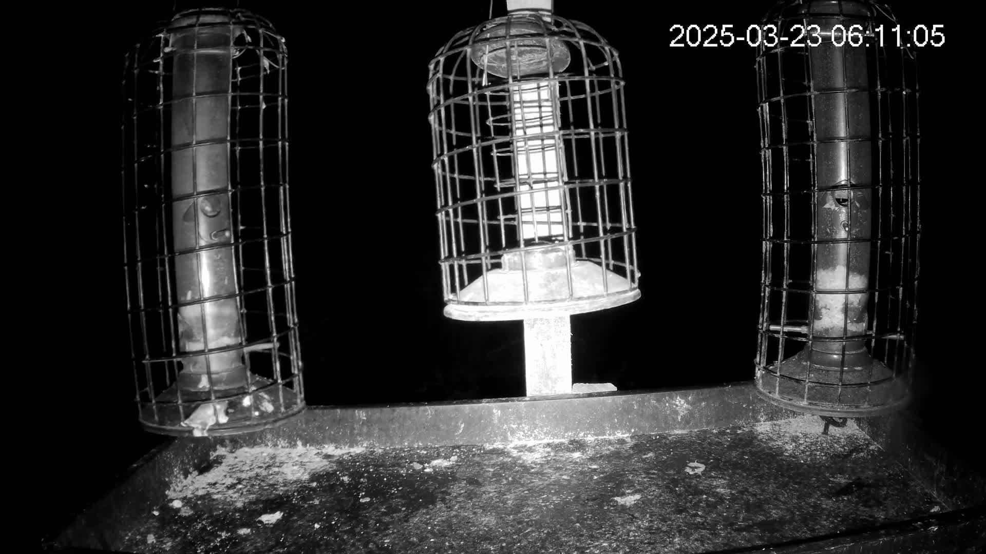 Three caged bird feeders hang from a dark metal platform at night.
