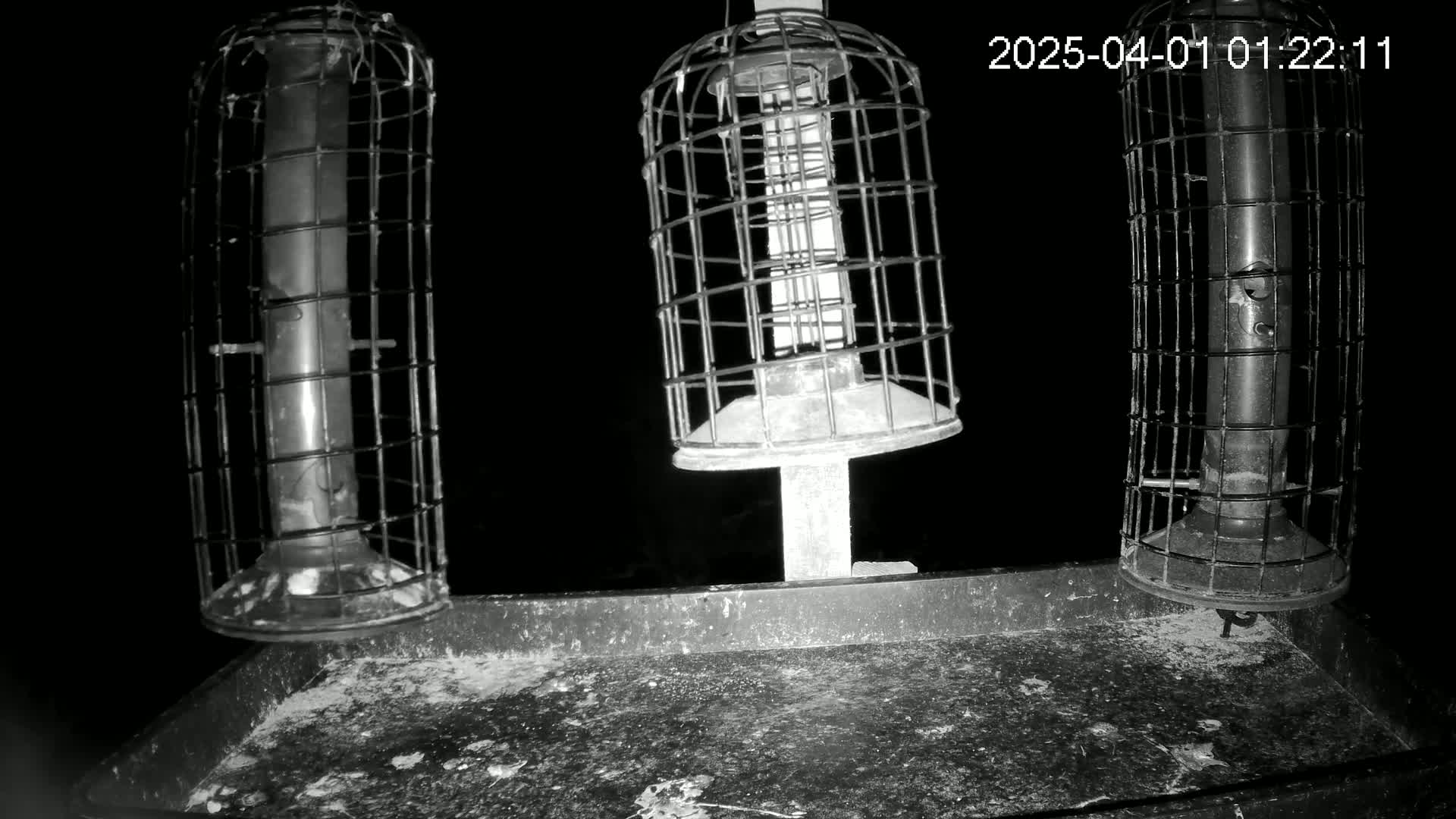 Three caged bird feeders sit on a tray at night.