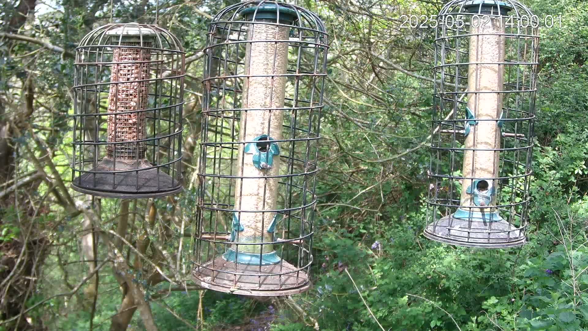 Three bird feeders, two tall and one short, hang from tree branches in a wooded area on a bright day.
