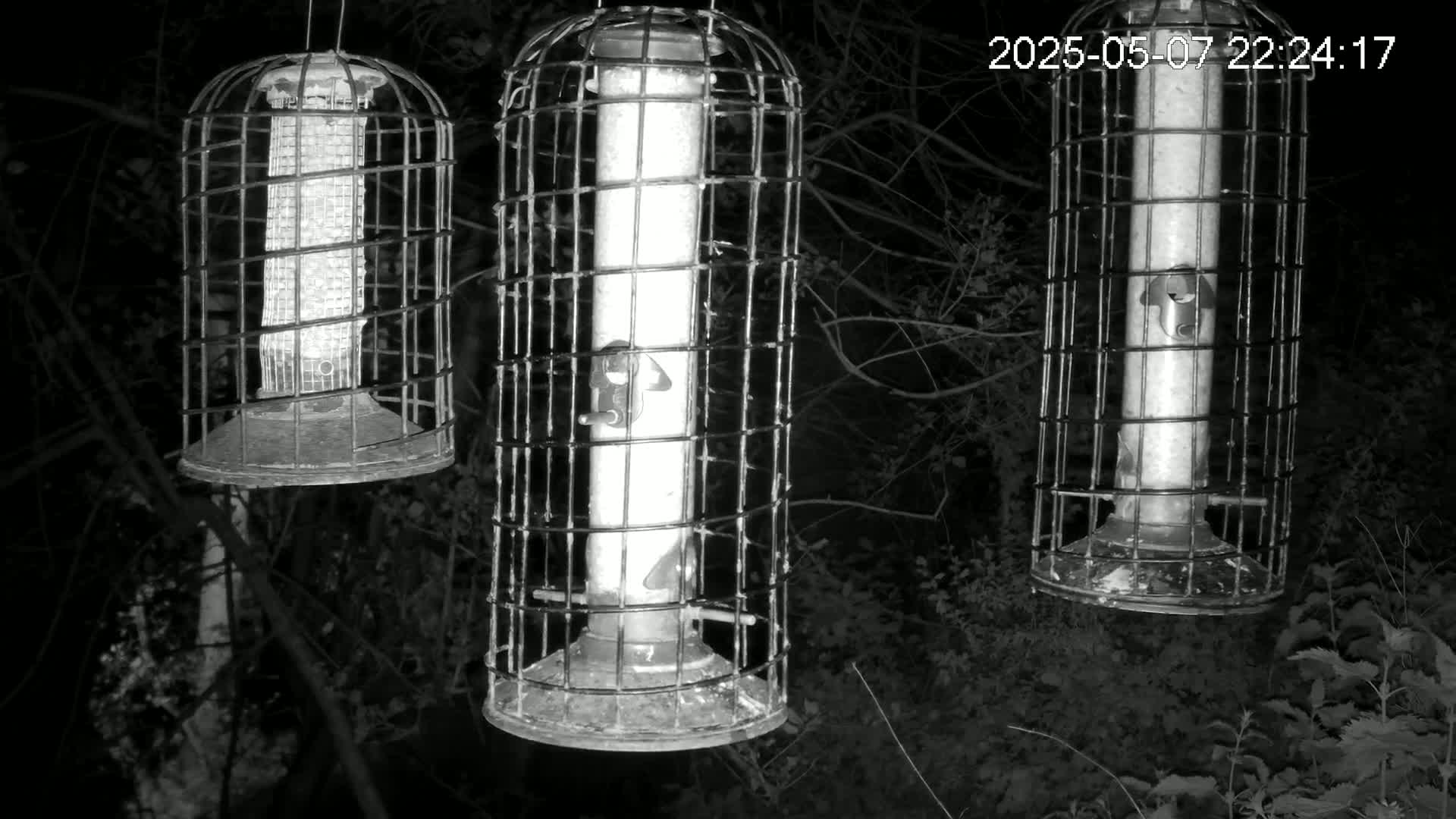 Three cylindrical bird feeders hang in a wire cage at night in a wooded area.
