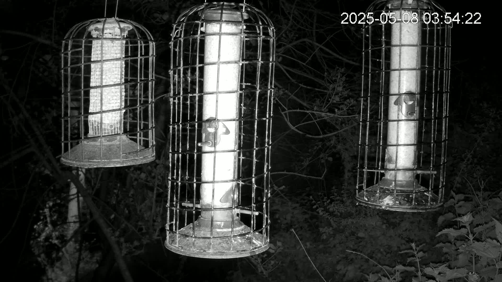 Three caged bird feeders hang from tree branches at night.