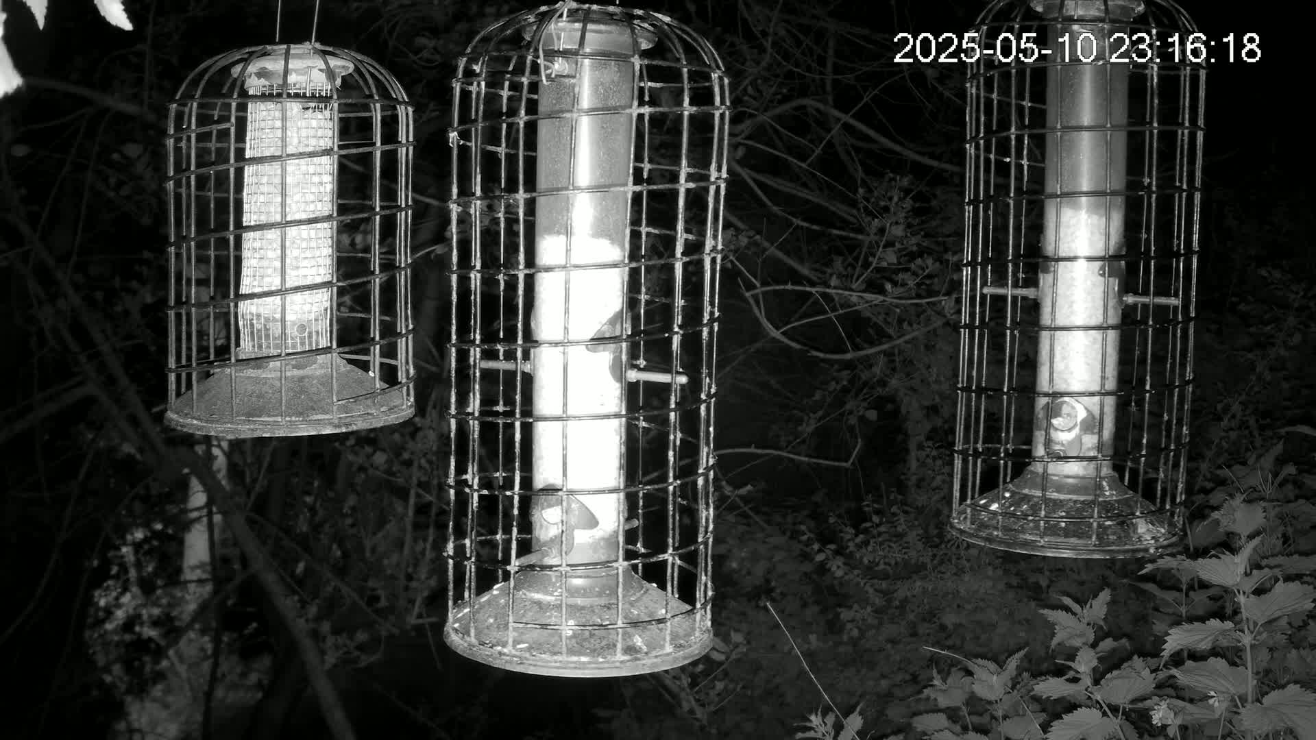 Three cylindrical bird feeders, enclosed in wire cages, hang from branches at night.