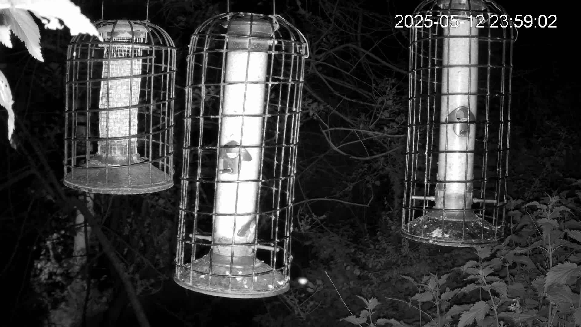 Three caged bird feeders hang from branches at night in a dark, wooded area.