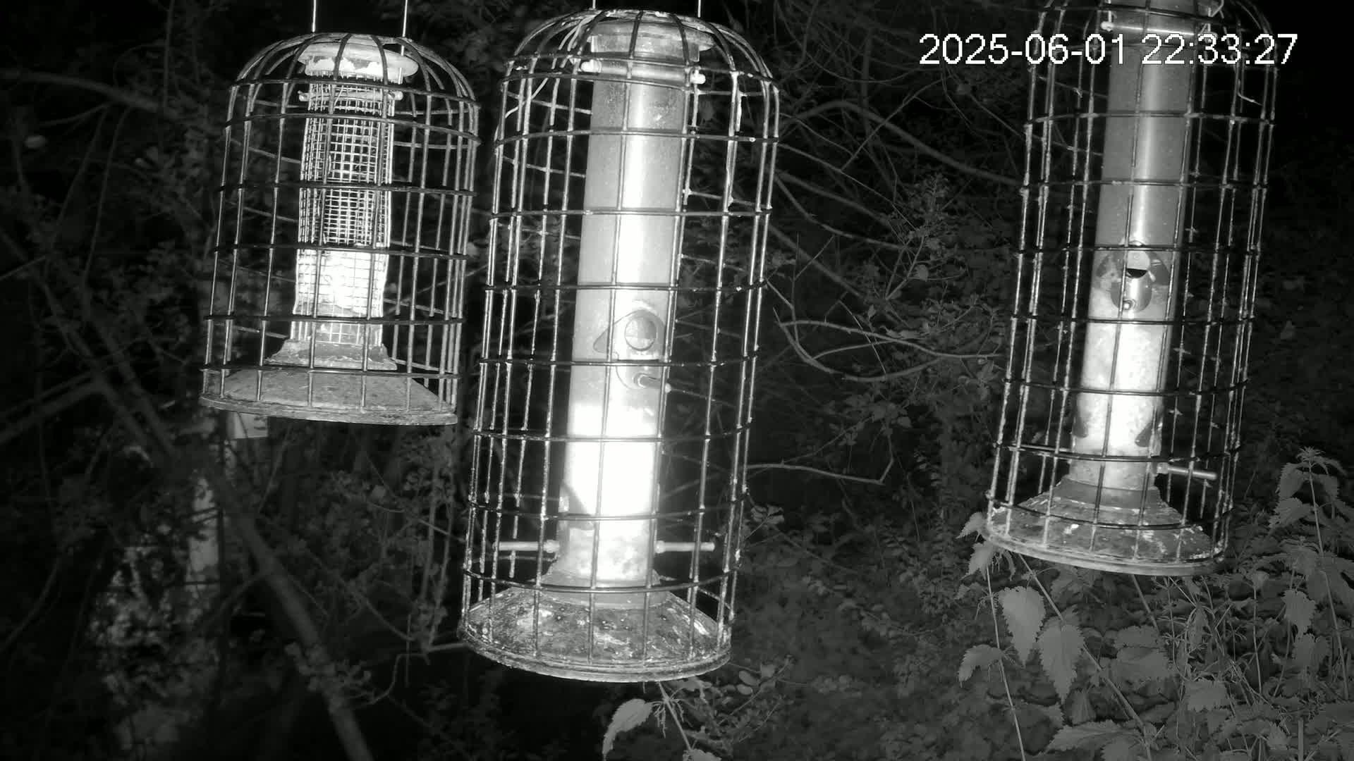 Three cylindrical bird feeders, encased in wire cages, hang from tree branches at night.