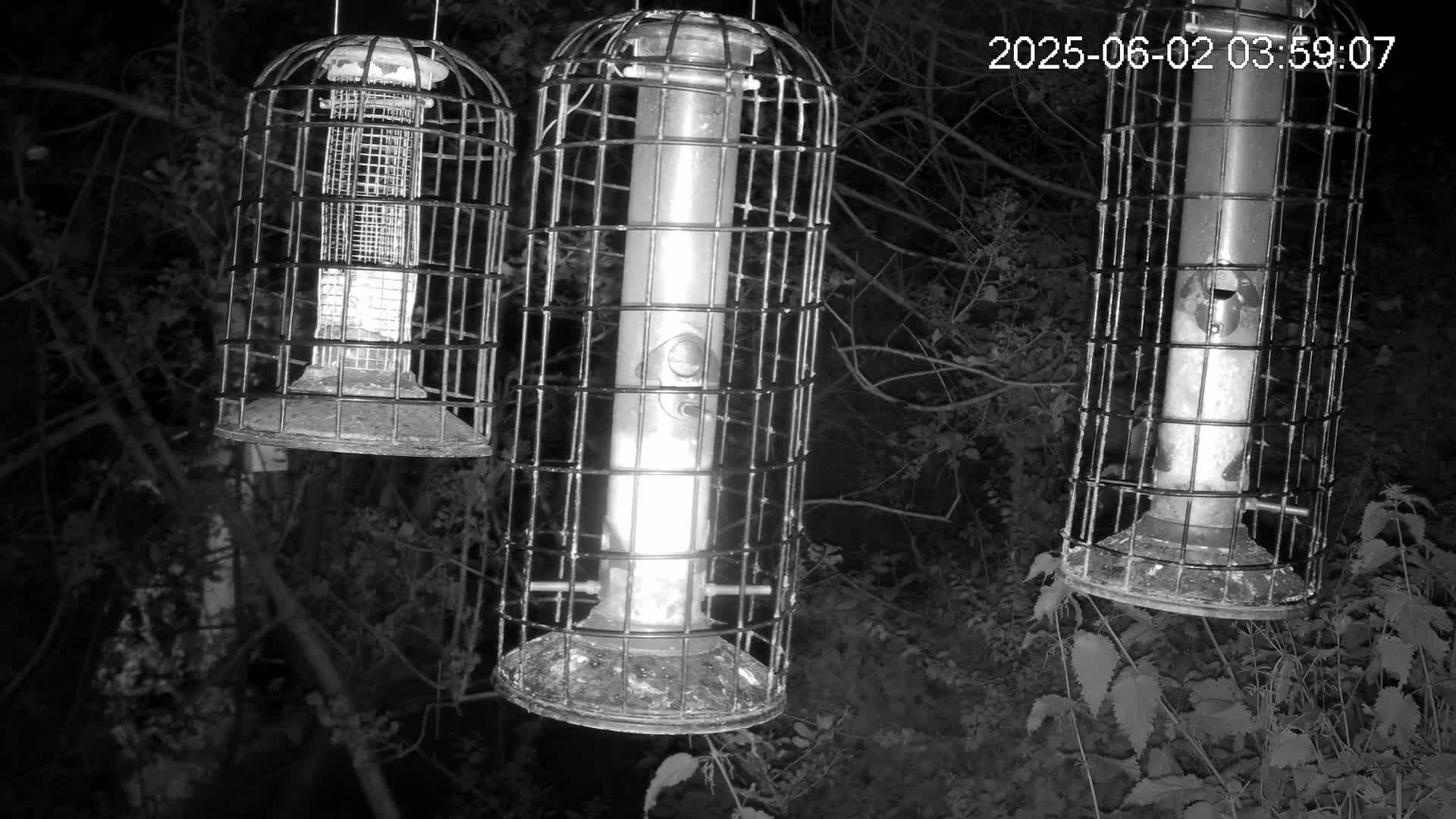 Three caged bird feeders hang from branches in a dark, wooded area at night.