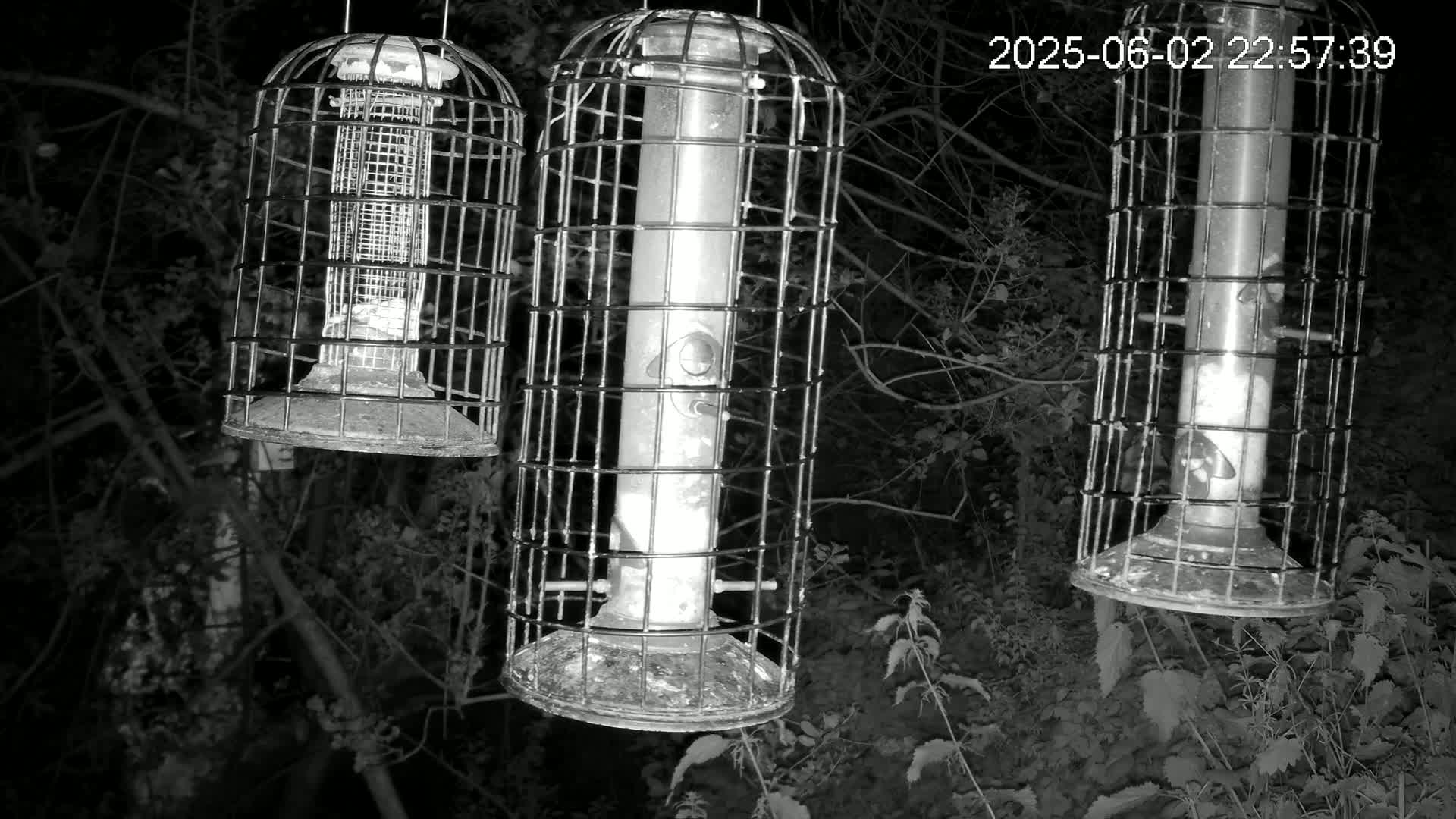 Three cylindrical bird feeders, encased in wire cages, hang from branches at night in a wooded area.