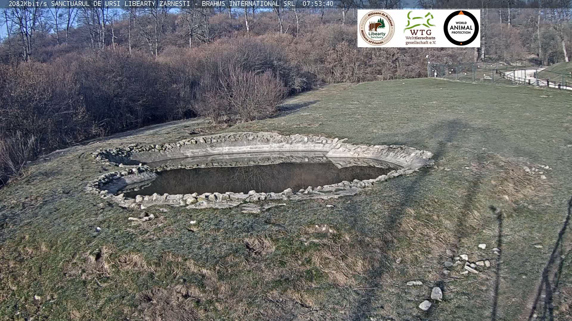 Brasov, Zarnesti Bear Sanctuary Sanctuarul de ursi Libearty Zarnesti Live Cam - Tohanu Vechi, Zărnești, Braşov, Romania