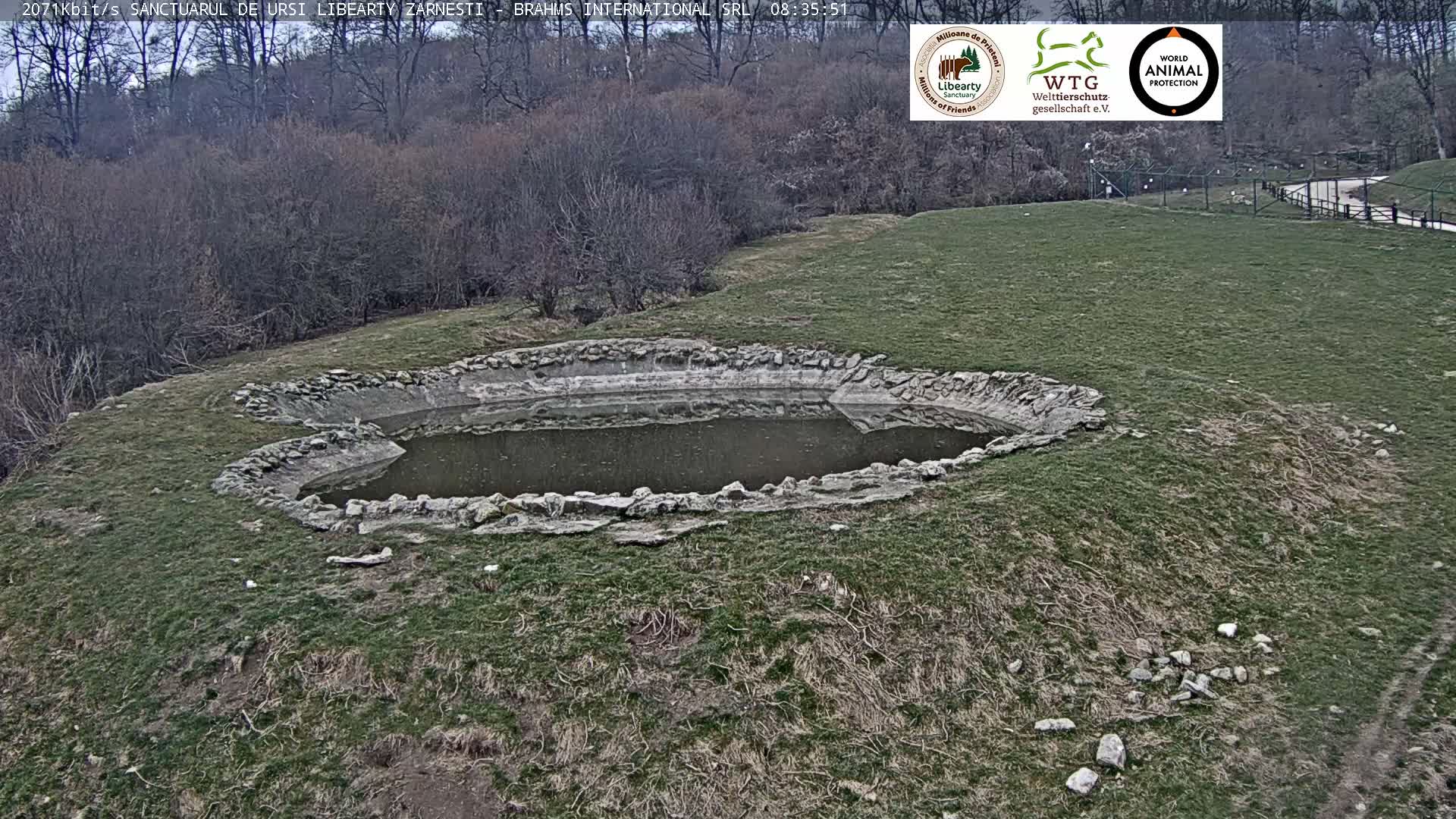 Brasov, Zarnesti Bear Sanctuary Sanctuarul de ursi Libearty Zarnesti Live Cam - Tohanu Vechi, Zărnești, Braşov, Romania