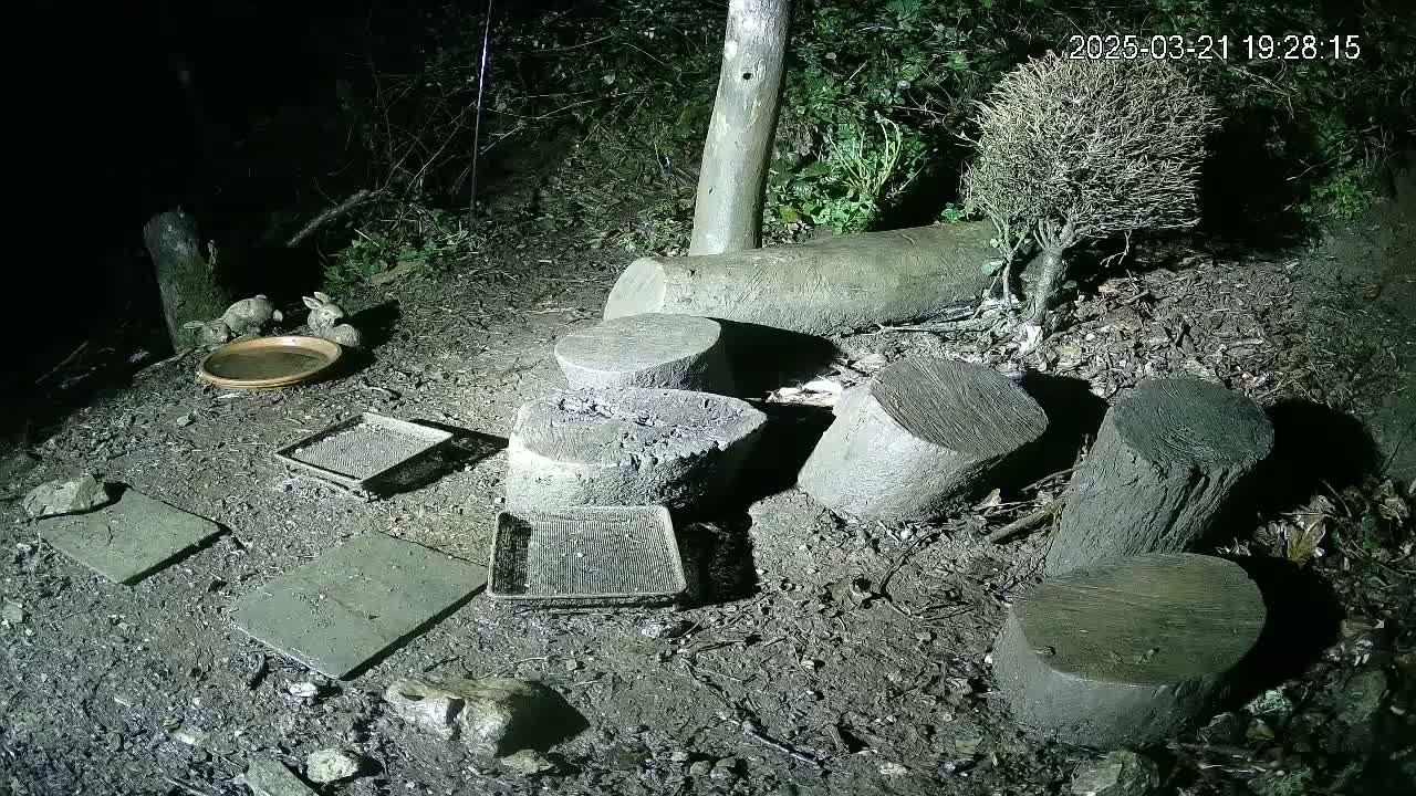 At night, several small, flat stones and log slices are scattered on the muddy ground near a shallow dish and two small rabbit statues, under some bushes and trees.