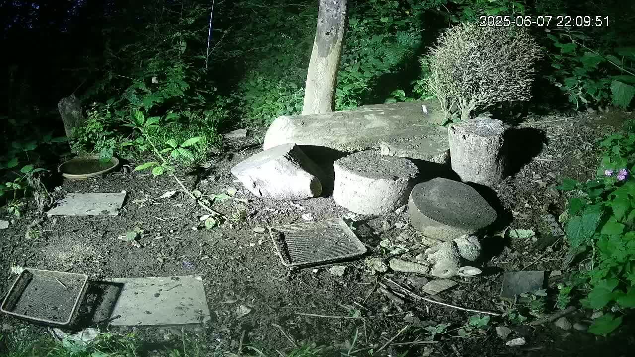 A nighttime, dimly lit outdoor scene shows several pieces of wood, small trays, and a small rabbit statue on the ground amidst vegetation.