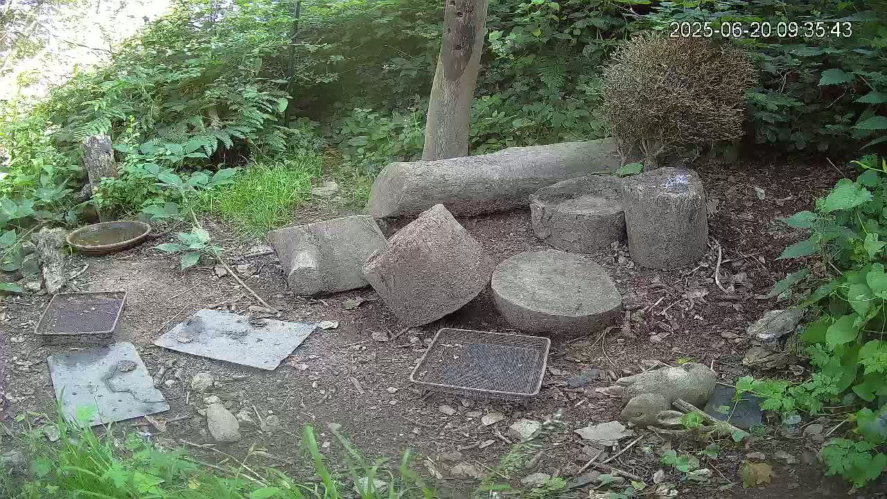 A ground-level view shows several grey stone blocks and pieces of what looks like wood scattered on the ground amidst lush green vegetation under what seems like a partly sunny day.