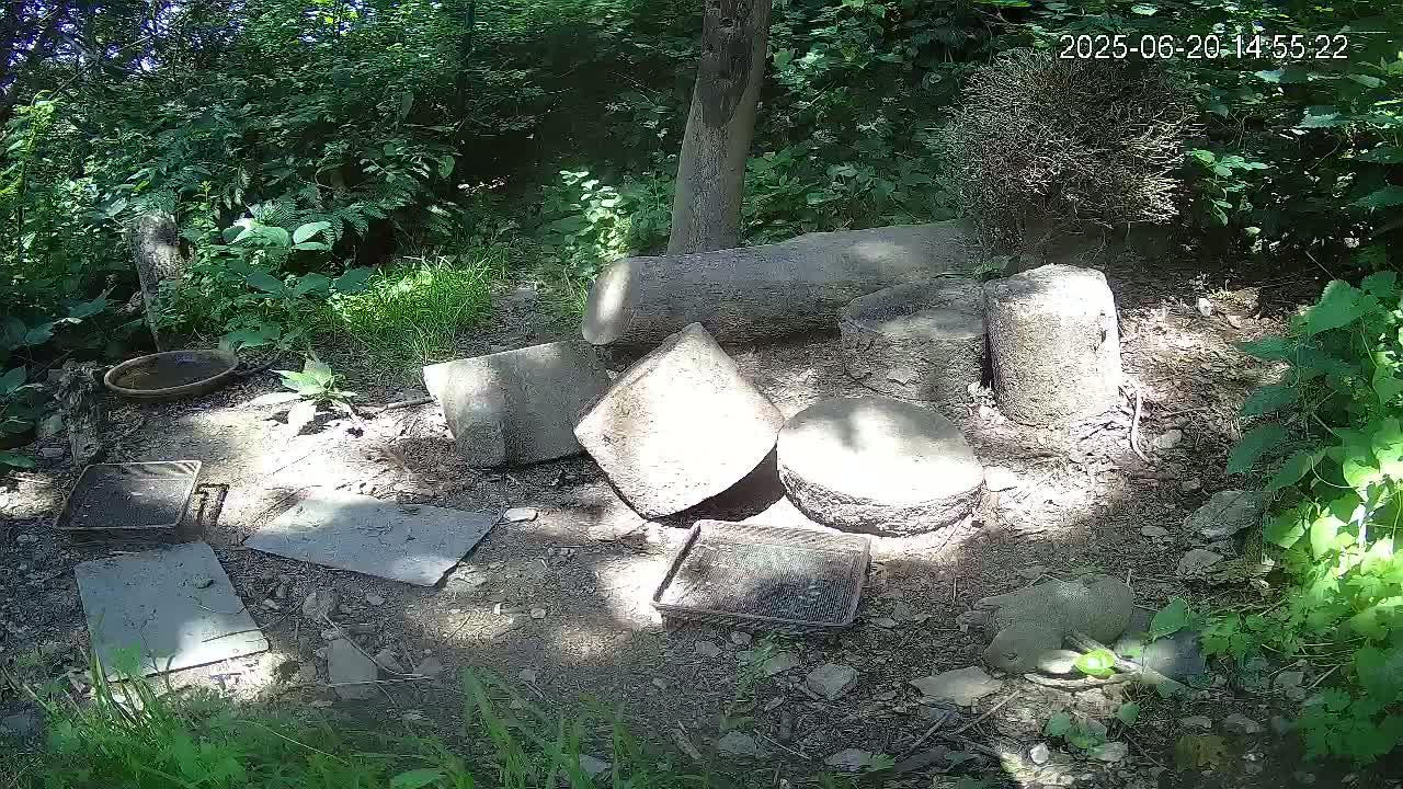 Several weathered concrete cylinders and other debris are scattered on the ground in a shady, wooded area under dappled sunlight.