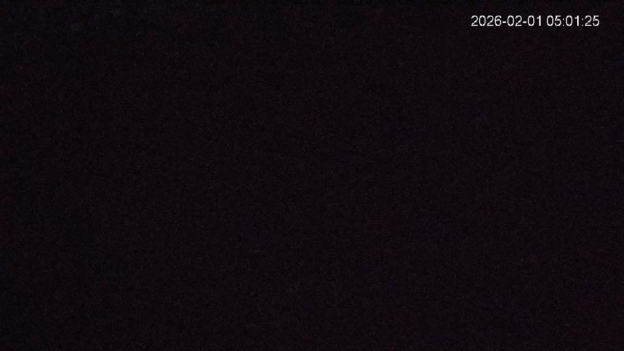 Cornwall, Badgers Watching Pigeon Feeder Live Cam -  Helston, Cornwall, South West, England, United Kingdom