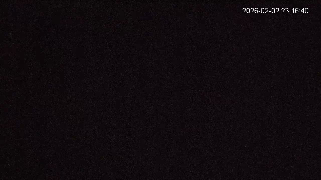 Cornwall, Badgers Watching Pigeon Feeder Live Cam -  Helston, Cornwall, South West, England, United Kingdom