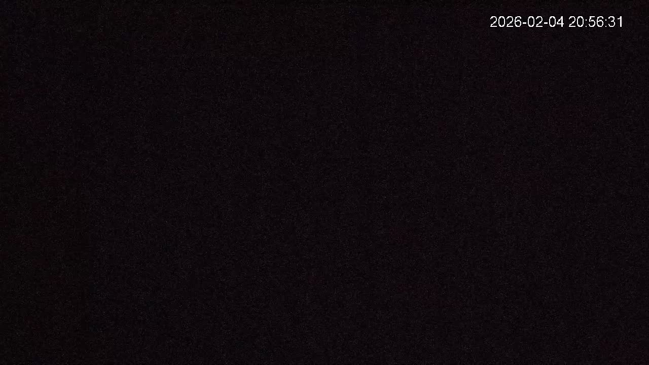 Cornwall, Badgers Watching Pigeon Feeder Live Cam -  Helston, Cornwall, South West, England, United Kingdom