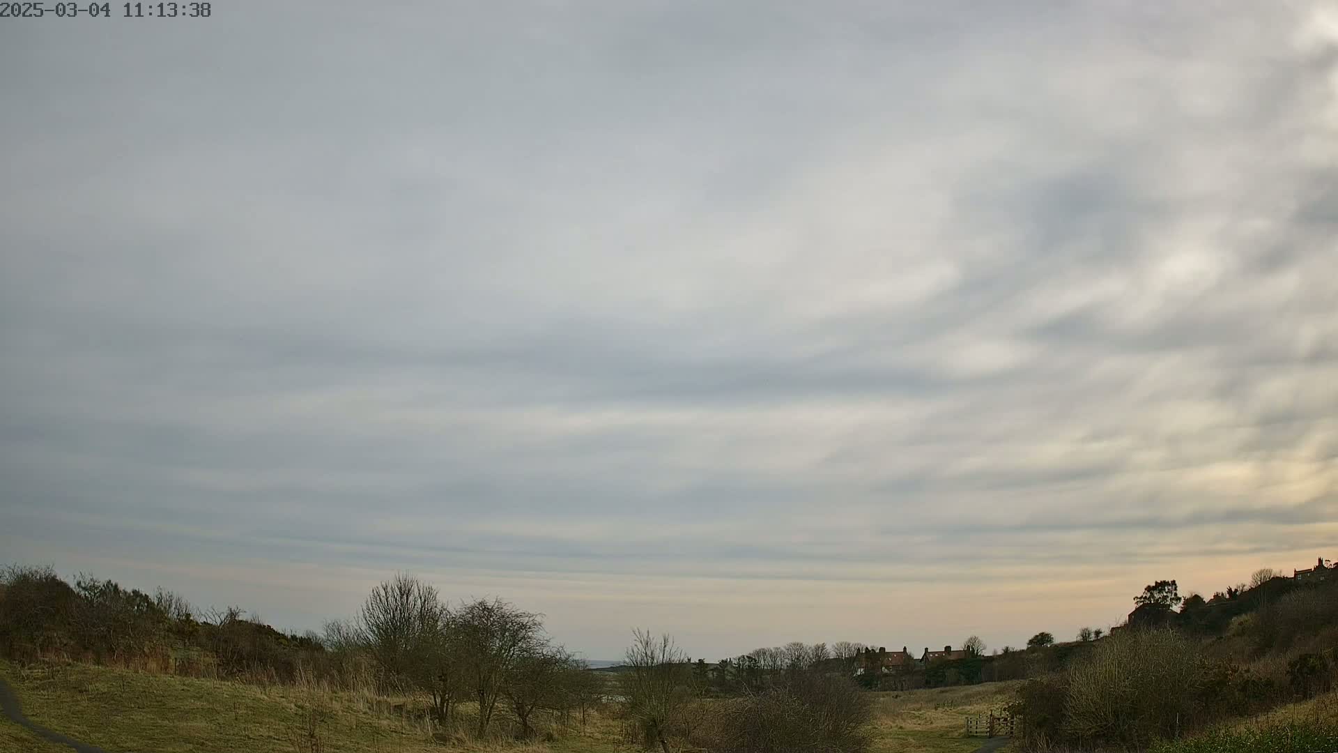 A mostly cloudy sky overlooks a gently sloping grassy field with sparse, leafless trees and a few distant buildings.