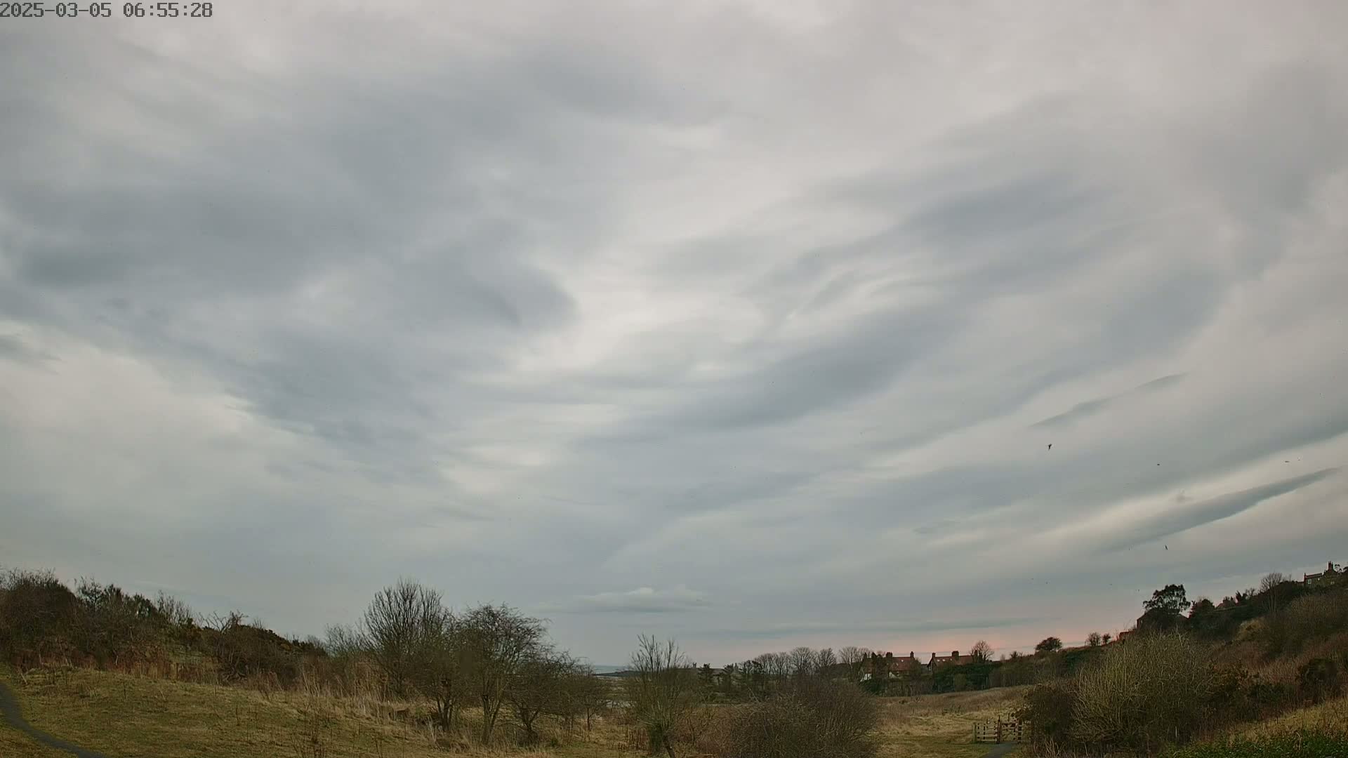 A mostly cloudy sky over a flat, grassy landscape with sparse, leafless trees and a few distant houses.