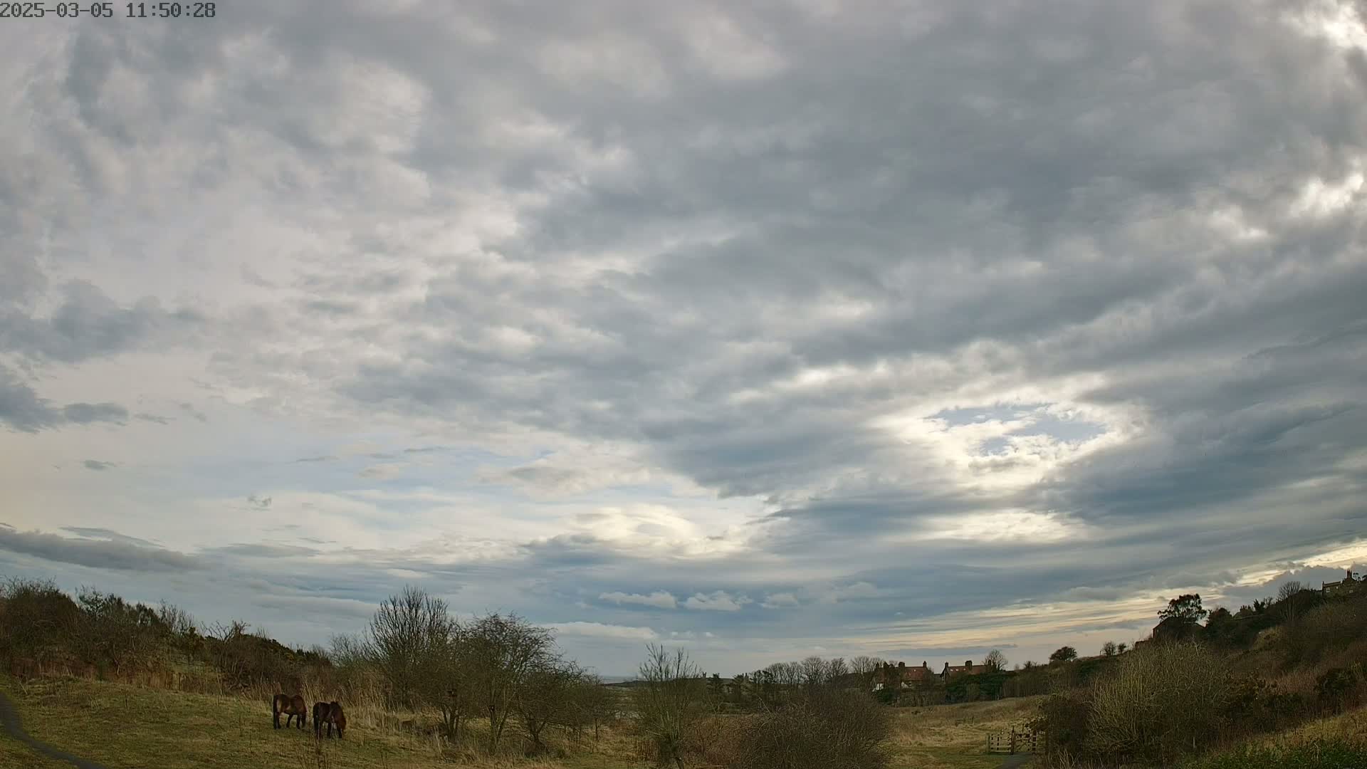 Two horses graze in a grassy field under a mostly cloudy sky, with a small village visible in the distance.