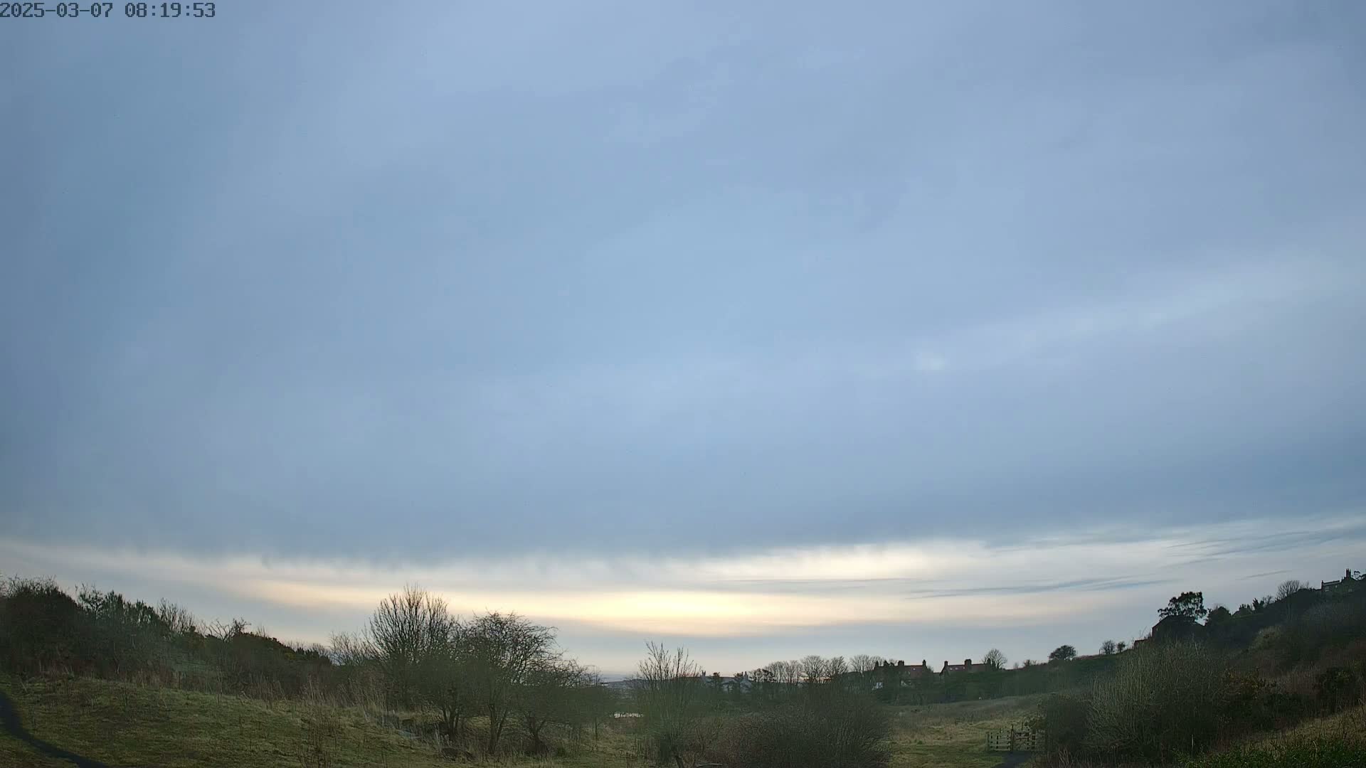A mostly cloudy, pale blue sky hangs over a hilly, grassy landscape with bare winter trees and a distant line of houses.