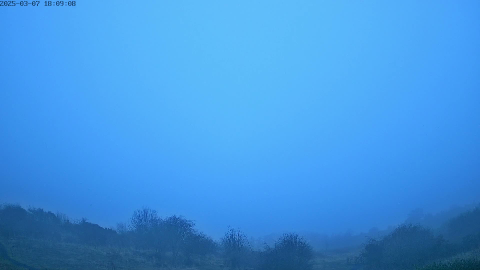 A low-lying blue fog obscures a gently sloping hillside covered in low shrubs and bushes.